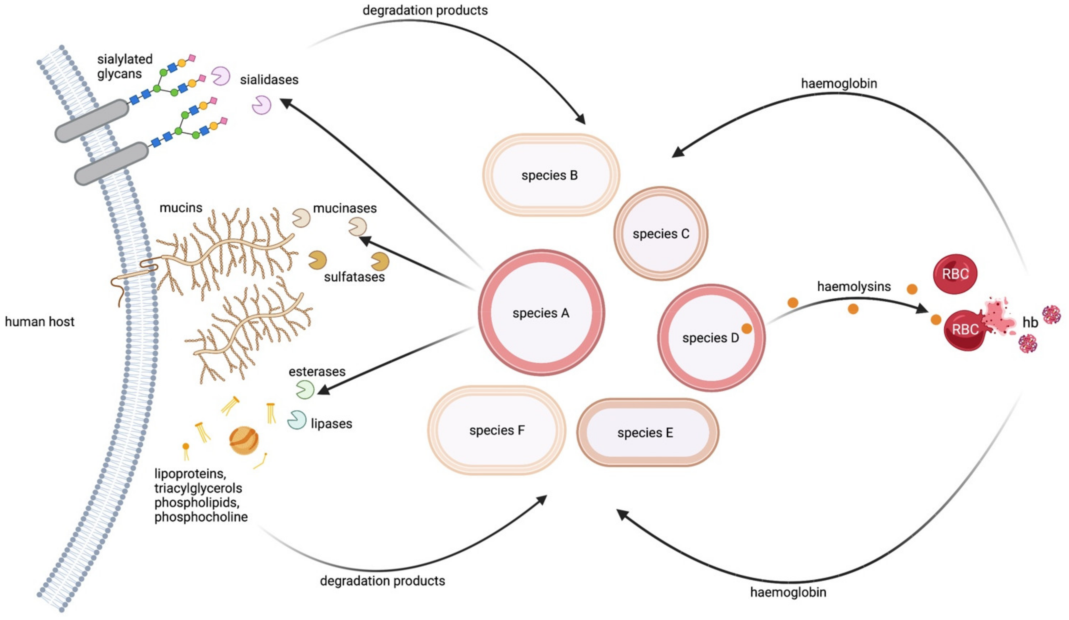 Metabolites 12 00489 g002