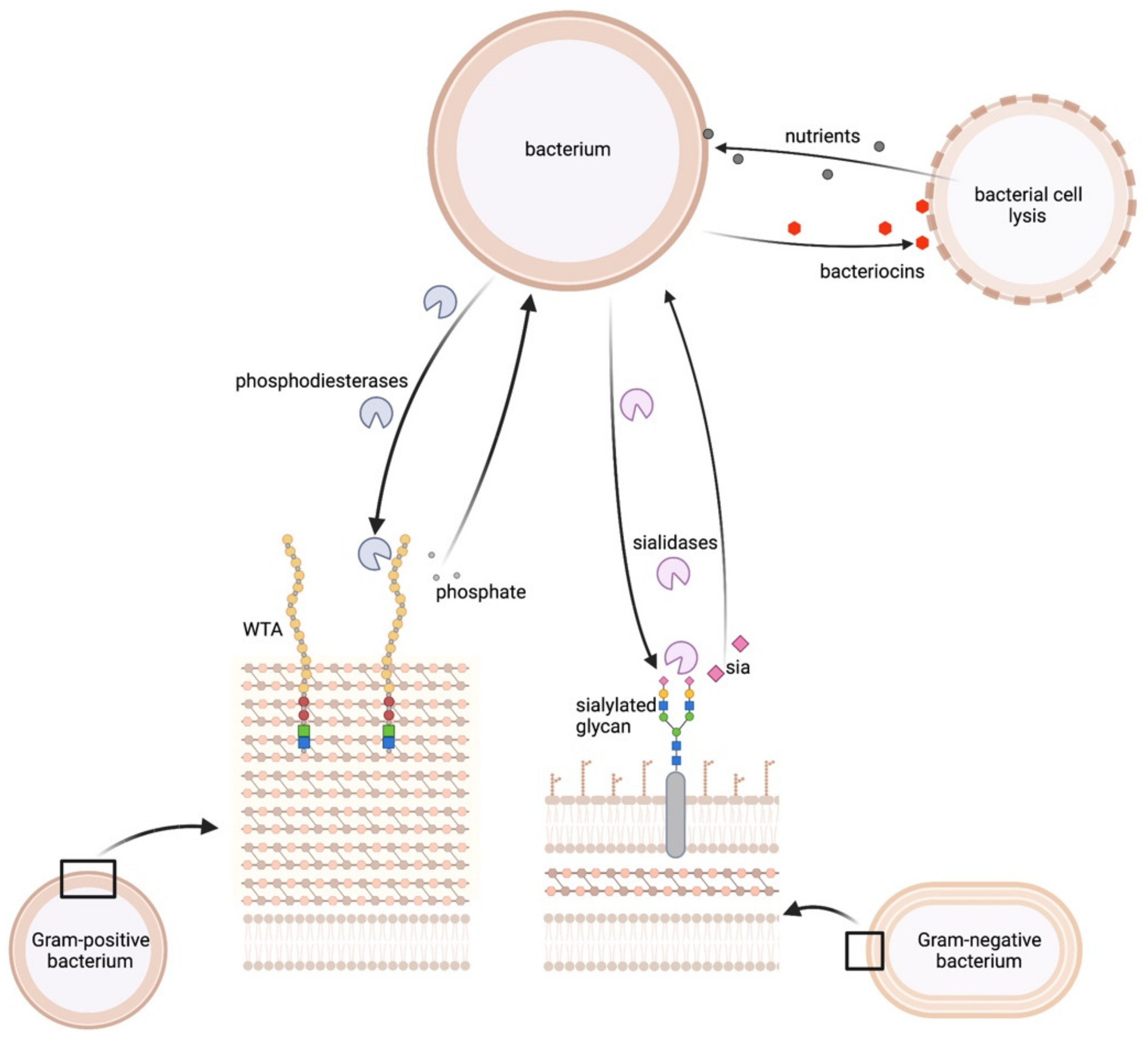 Metabolites 12 00489 g003