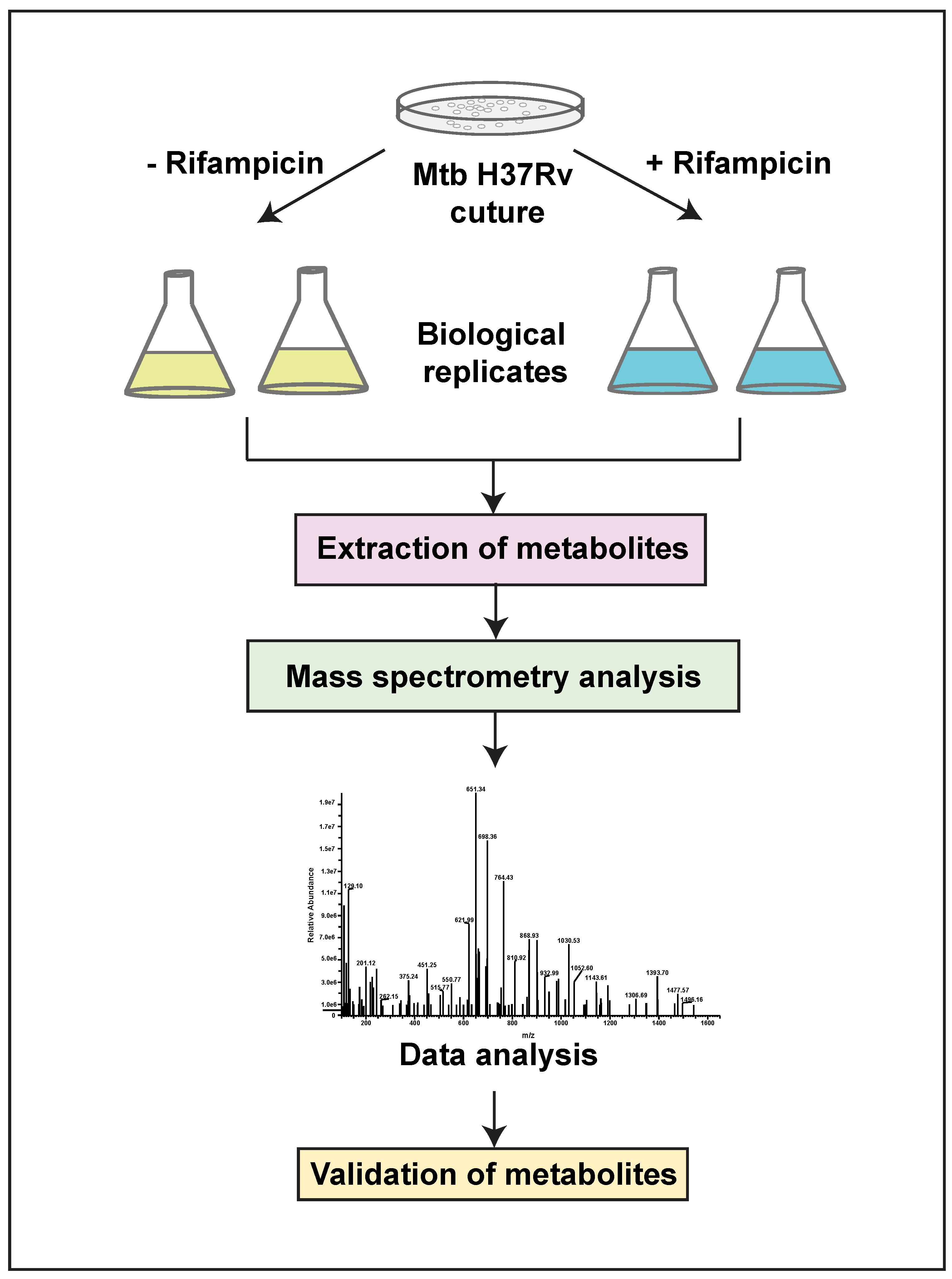 Metabolites 12 00493 g001