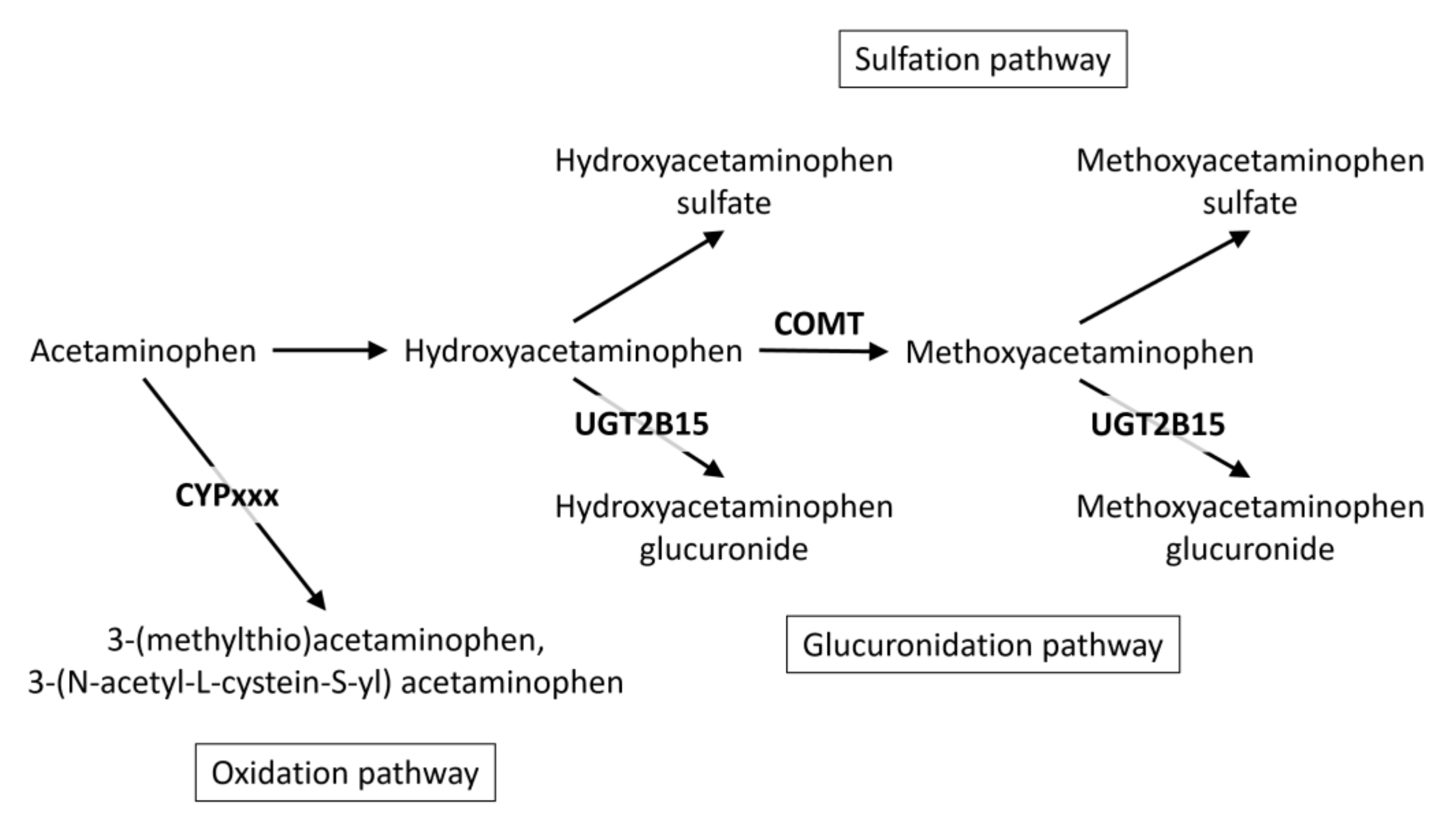 Metabolites 12 00496 g004 550