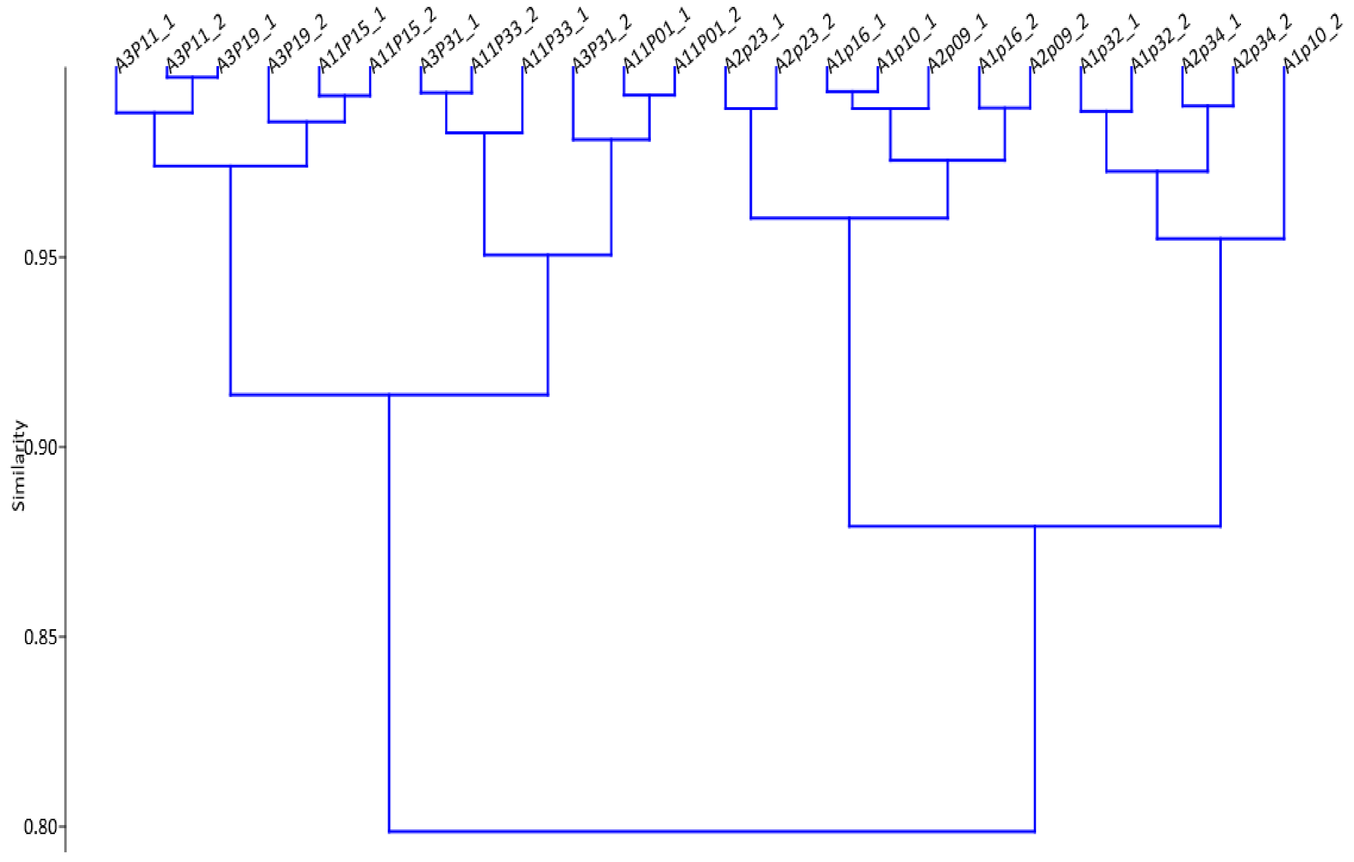 Metabolites 12 00501 g001