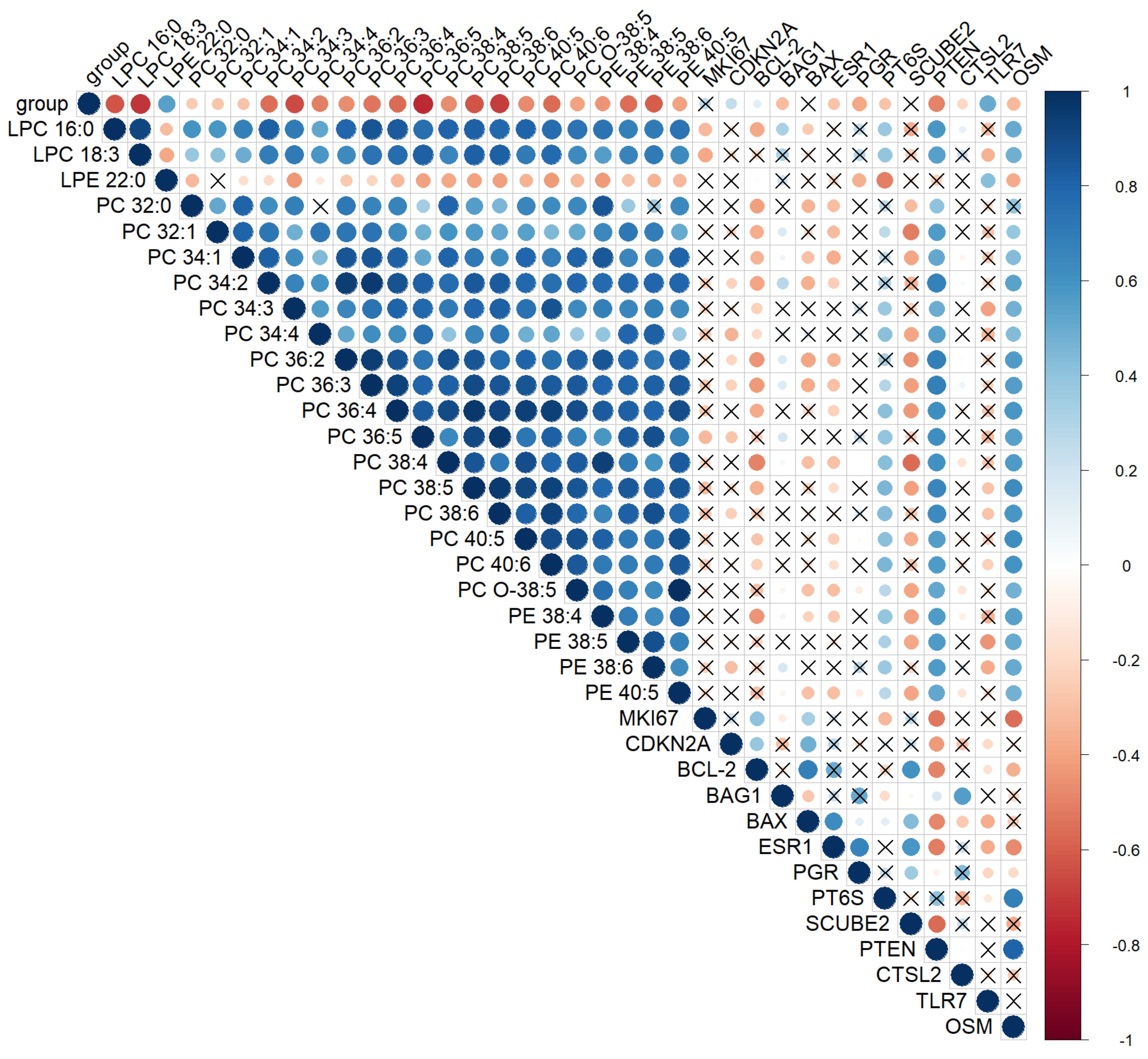 Metabolites 12 00503 g004 Metabolites 12 00503 g004