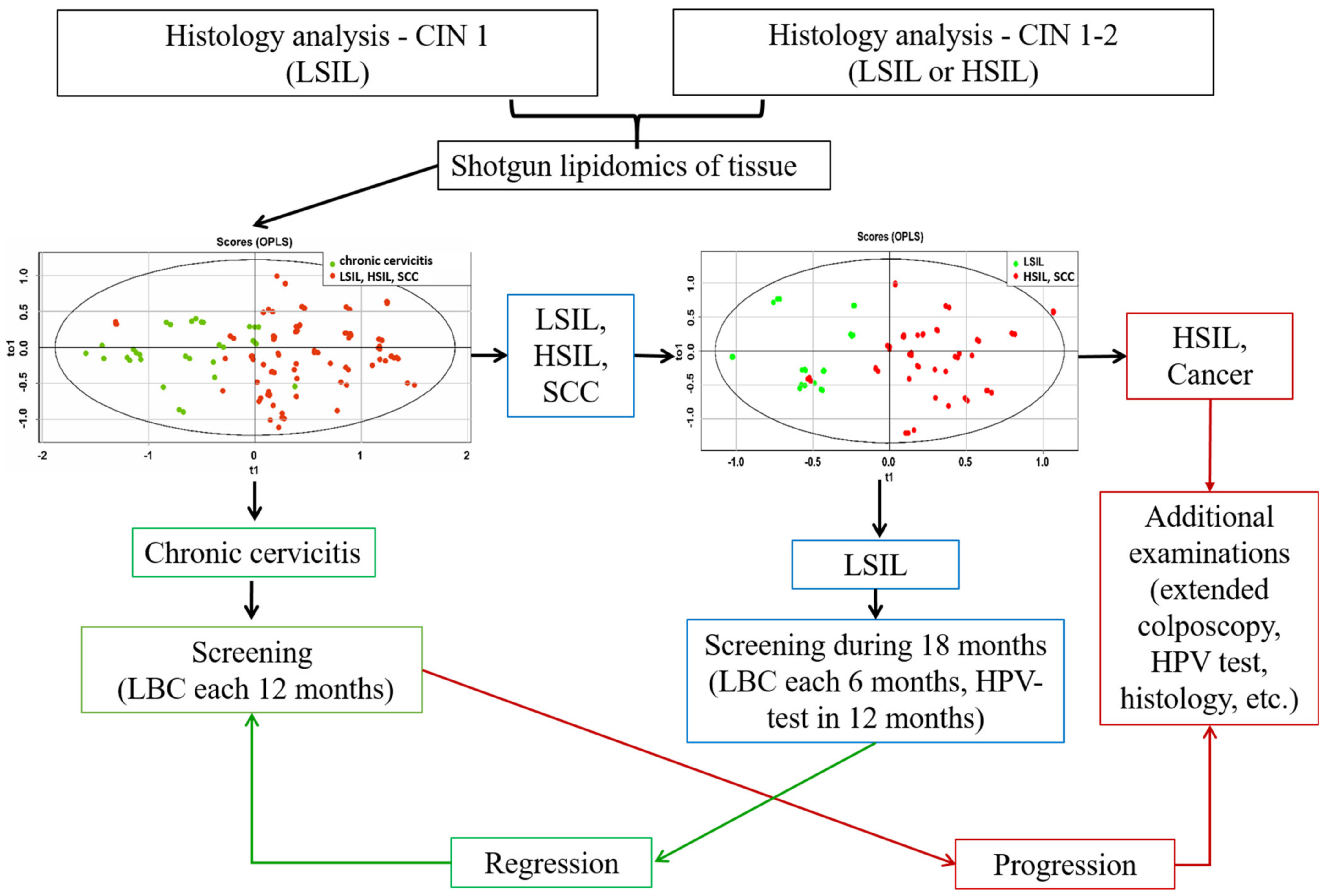 Metabolites 12 00503 g005 Metabolites 12 00503 g005