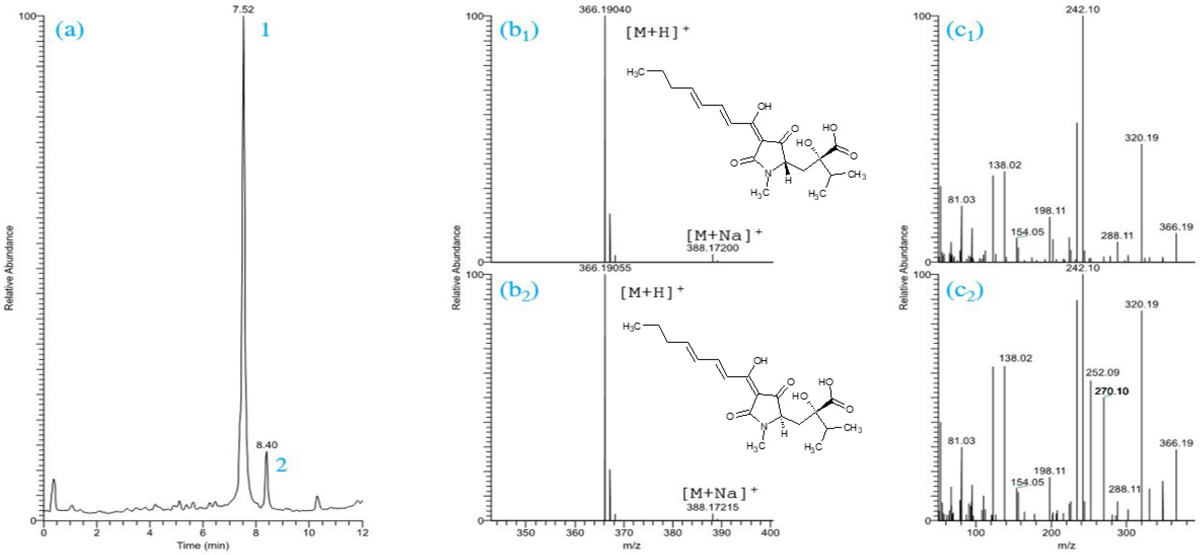 Metabolites 12 00507 g001