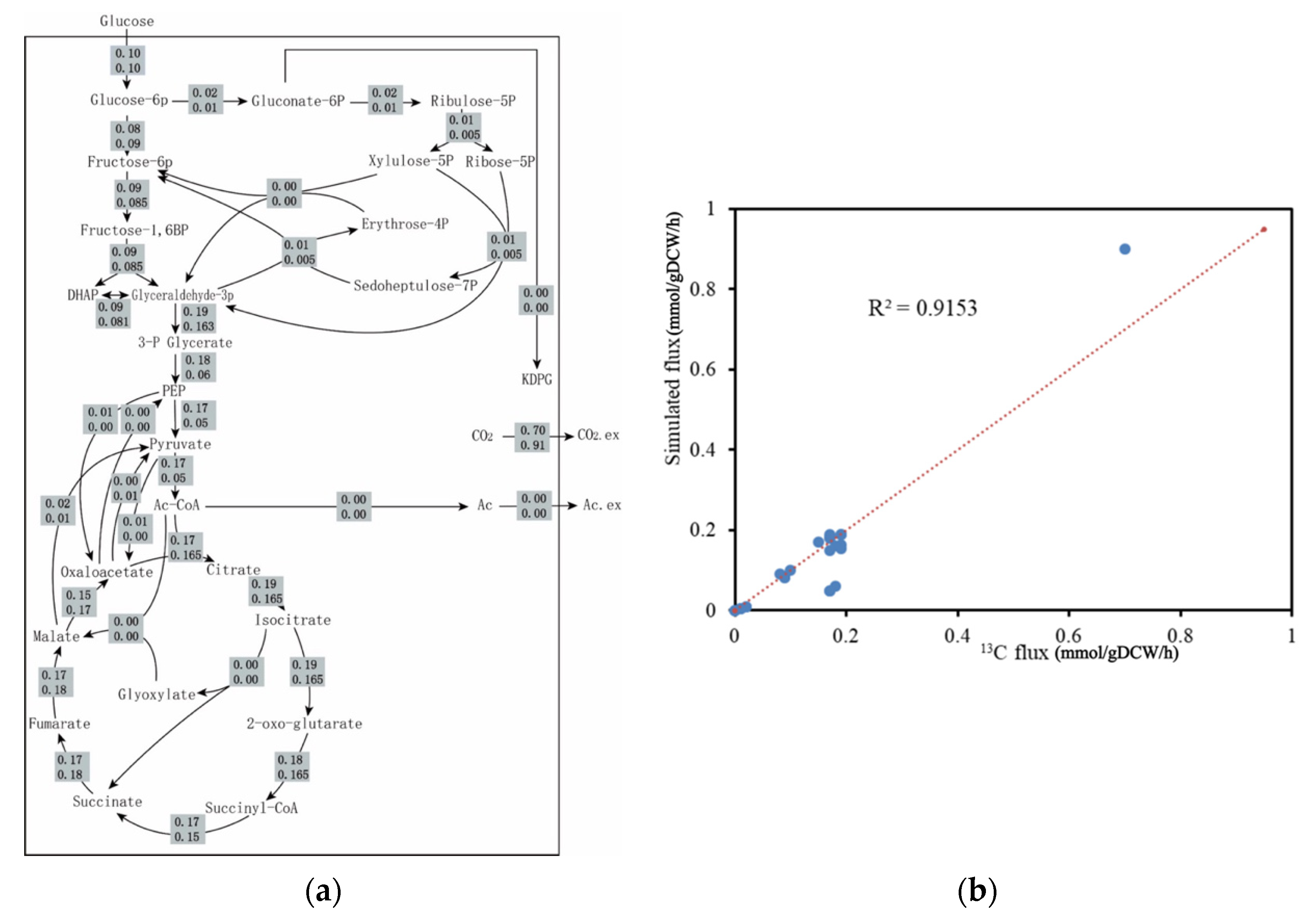 Metabolites 12 00509 g002 Metabolites 12 00509 g002
