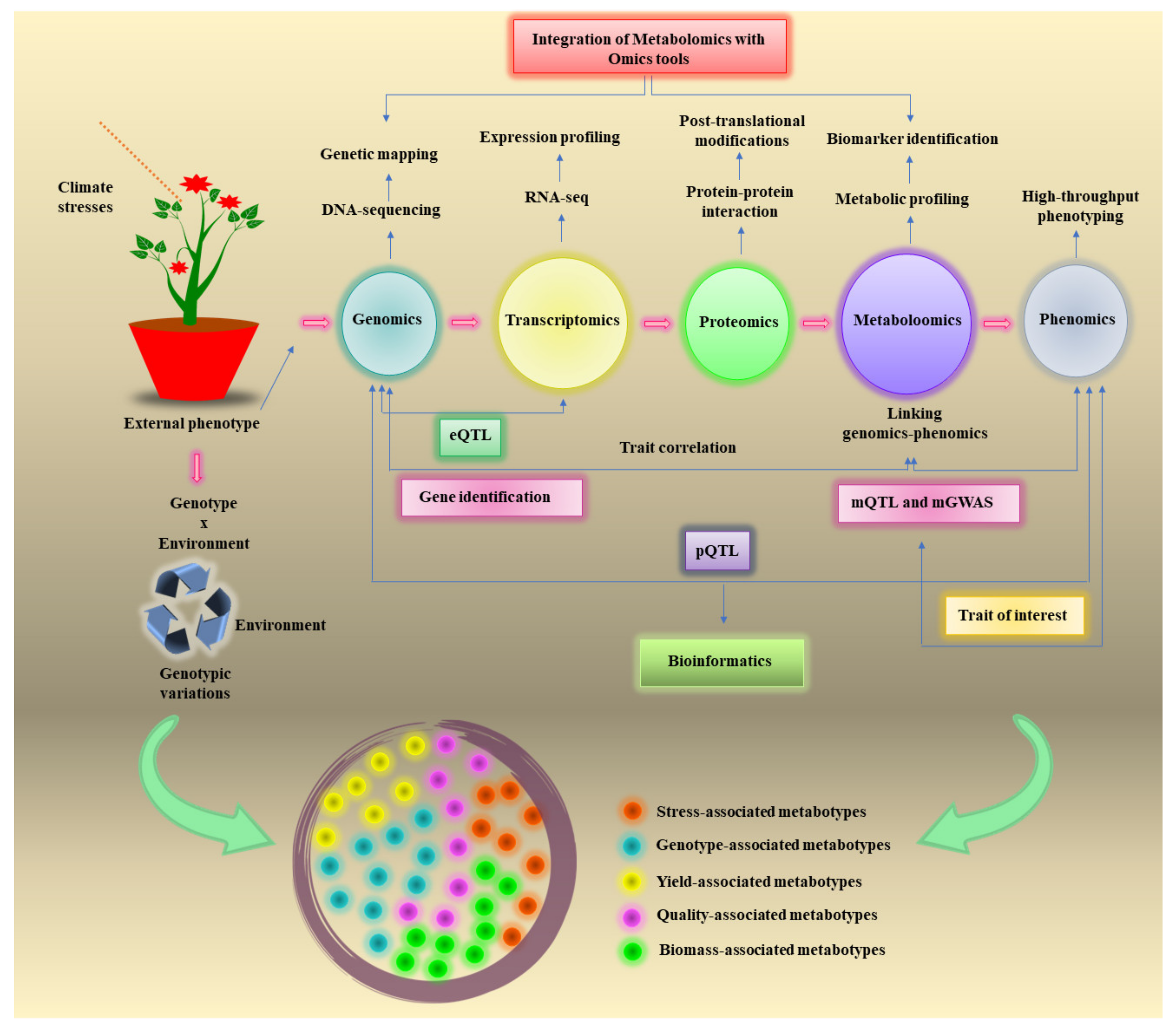 Metabolites 12 00511 g001 550