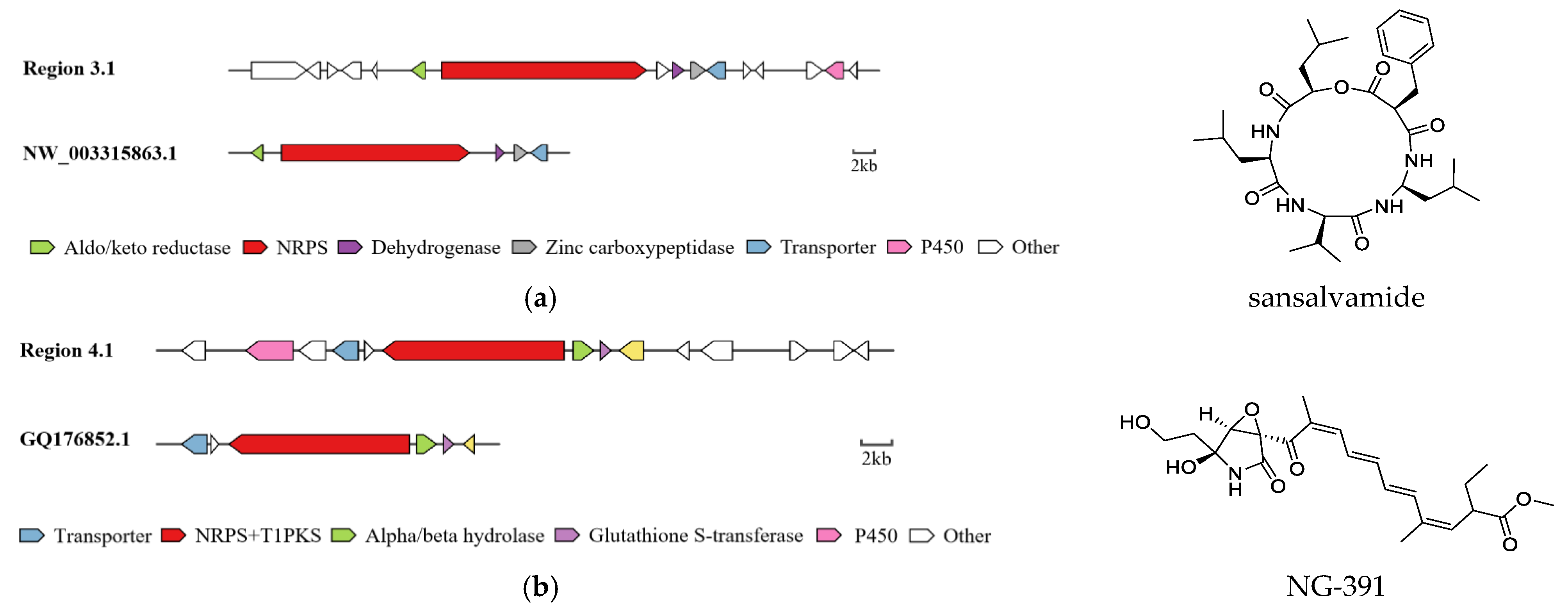 Metabolites 12 00521 g006a 550