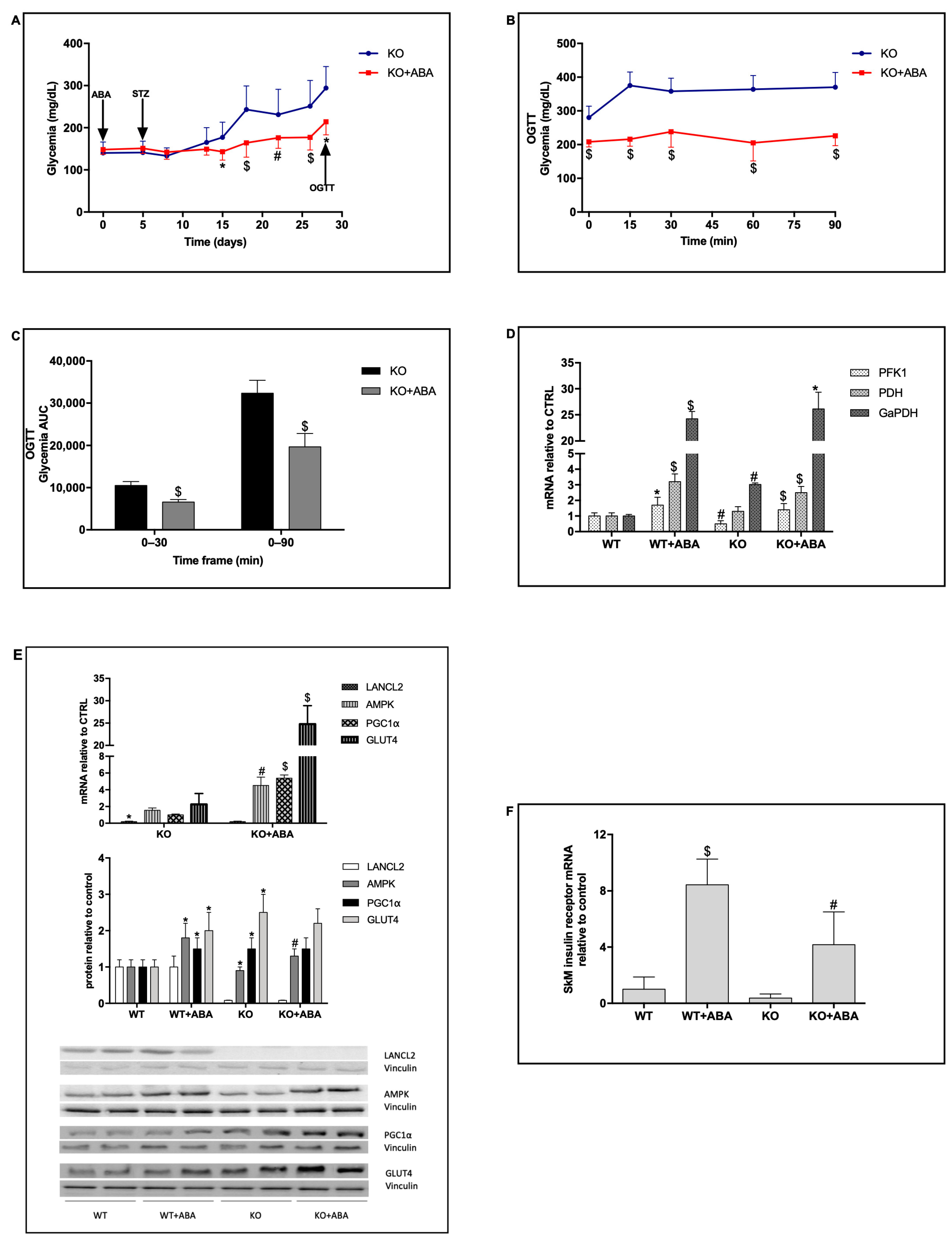 Metabolites 12 00523 g004