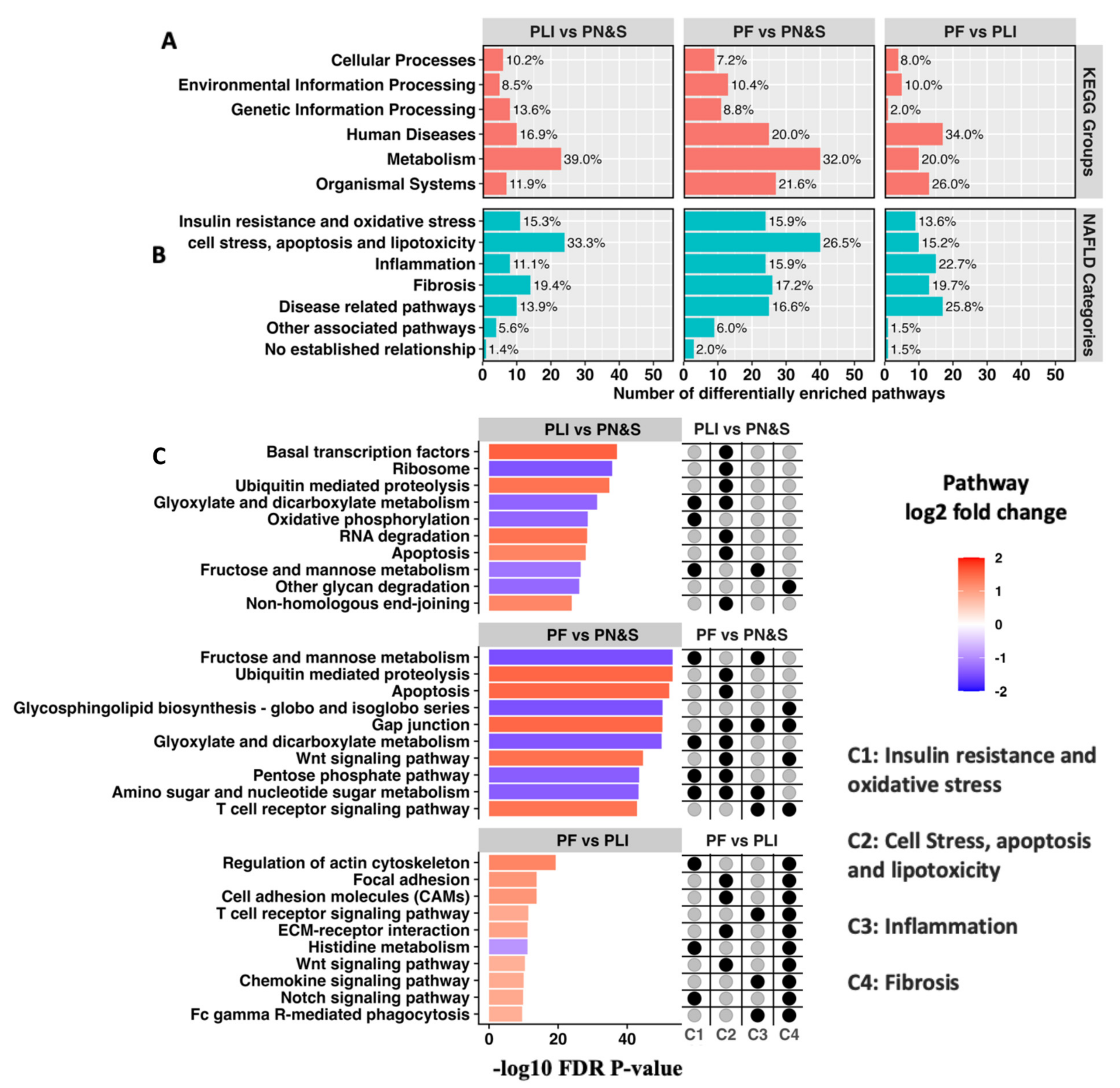 Metabolites 12 00528 g003