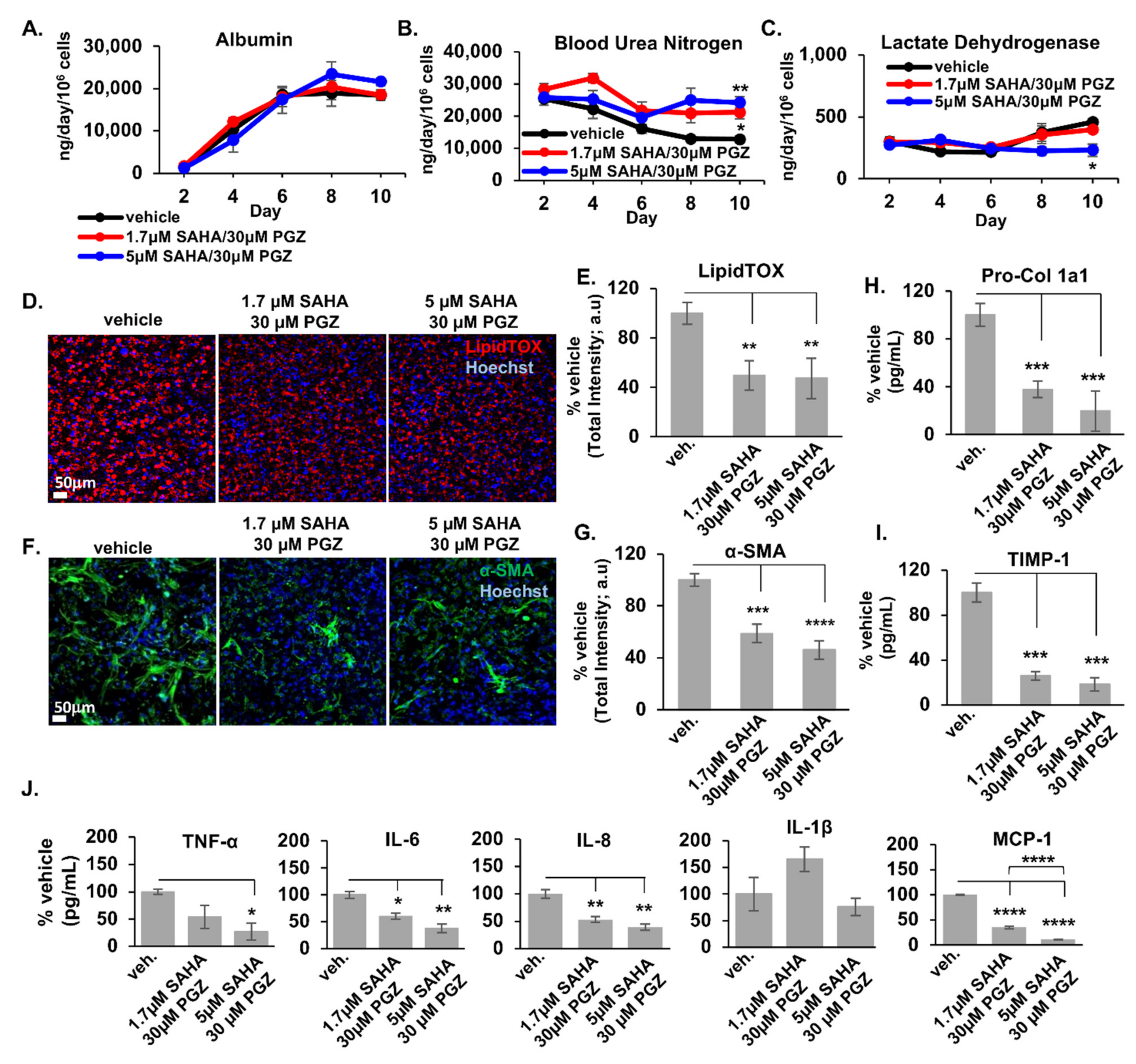 Metabolites 12 00528 g006