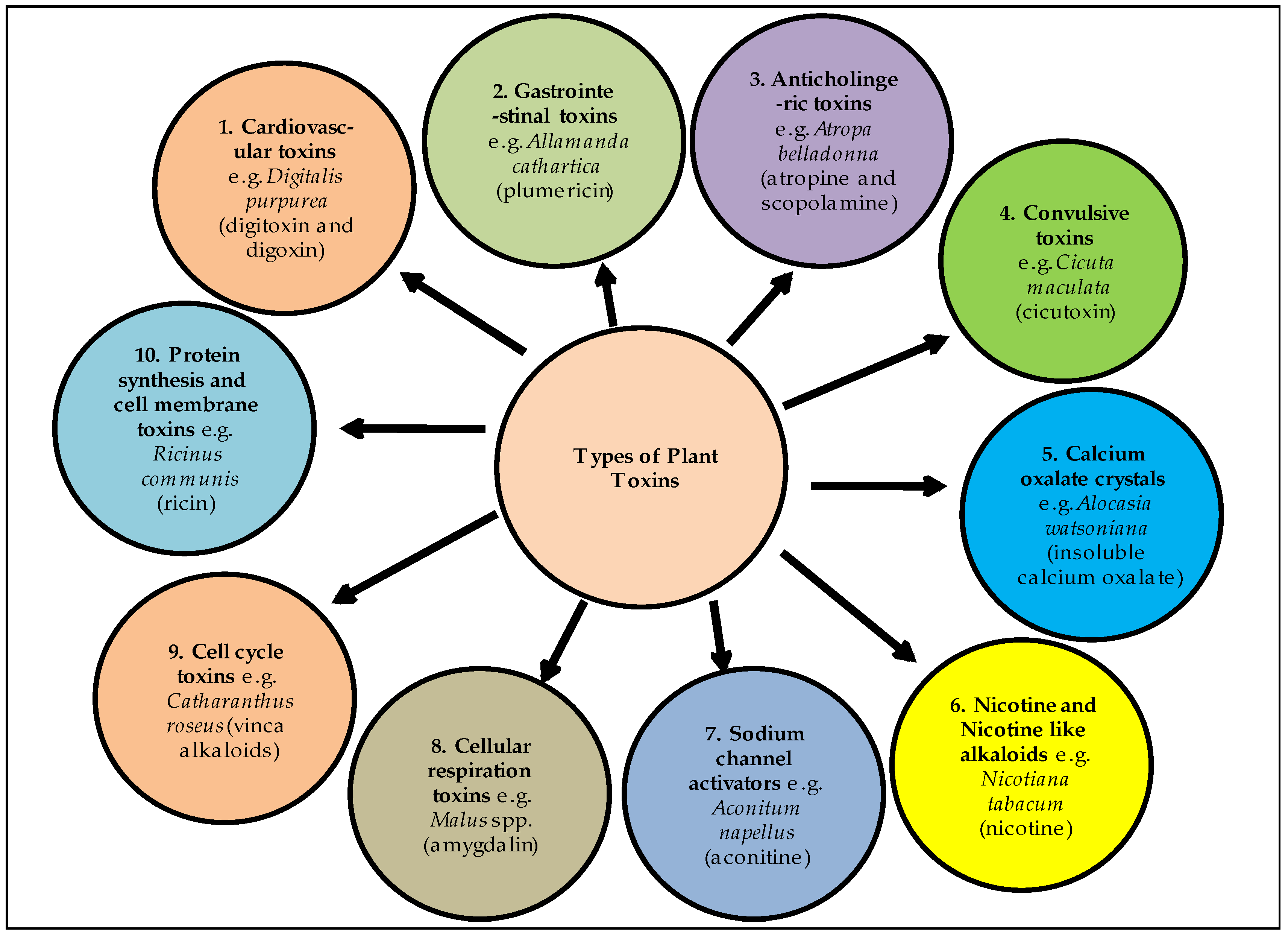 Metabolites 12 00540 g001 Metabolites 12 00540 g001