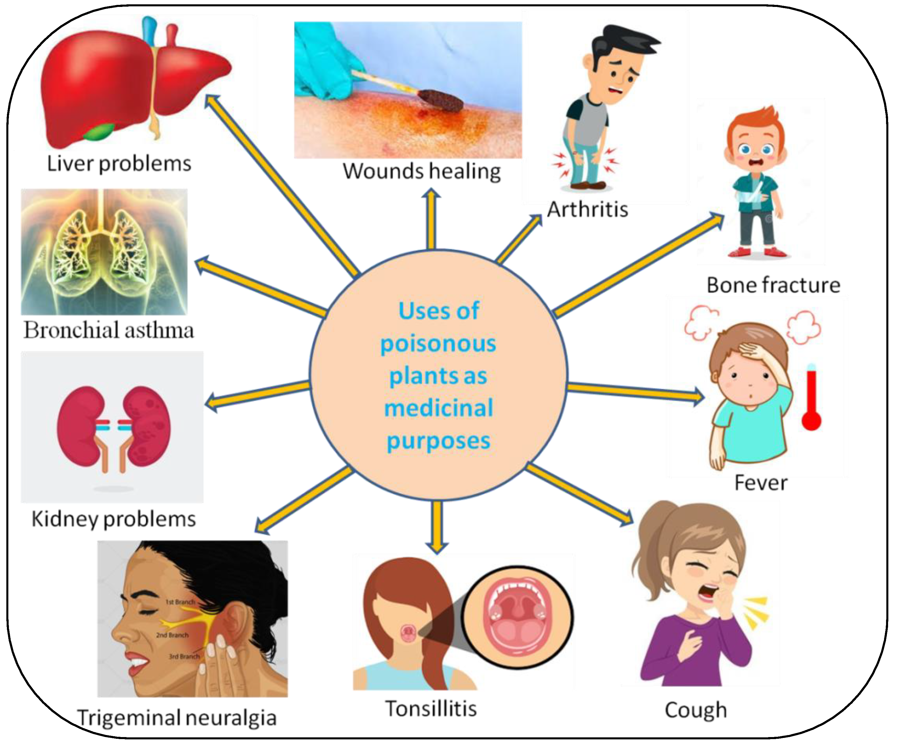 Metabolites 12 00540 g004 Metabolites 12 00540 g004