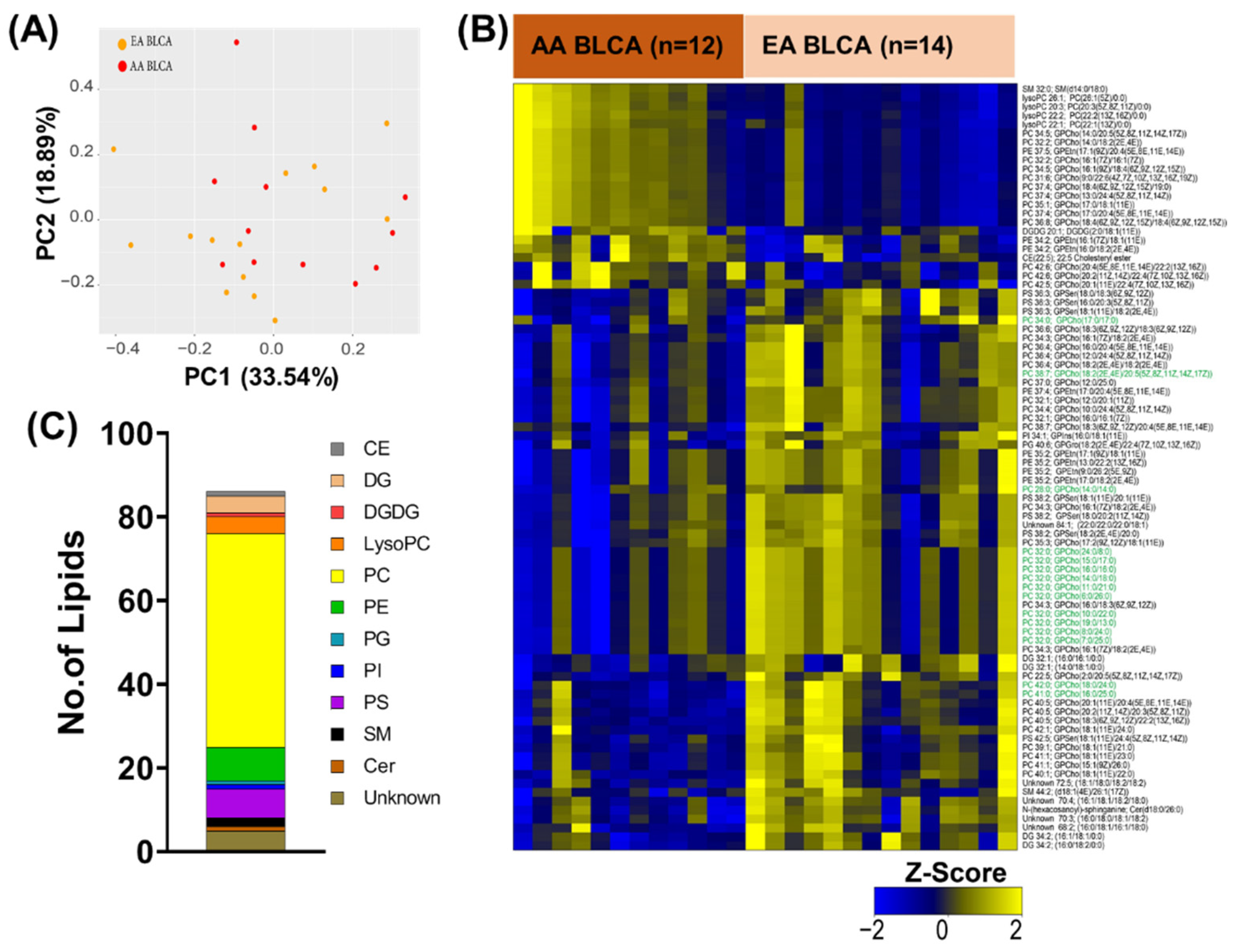 Metabolites 12 00544 g001