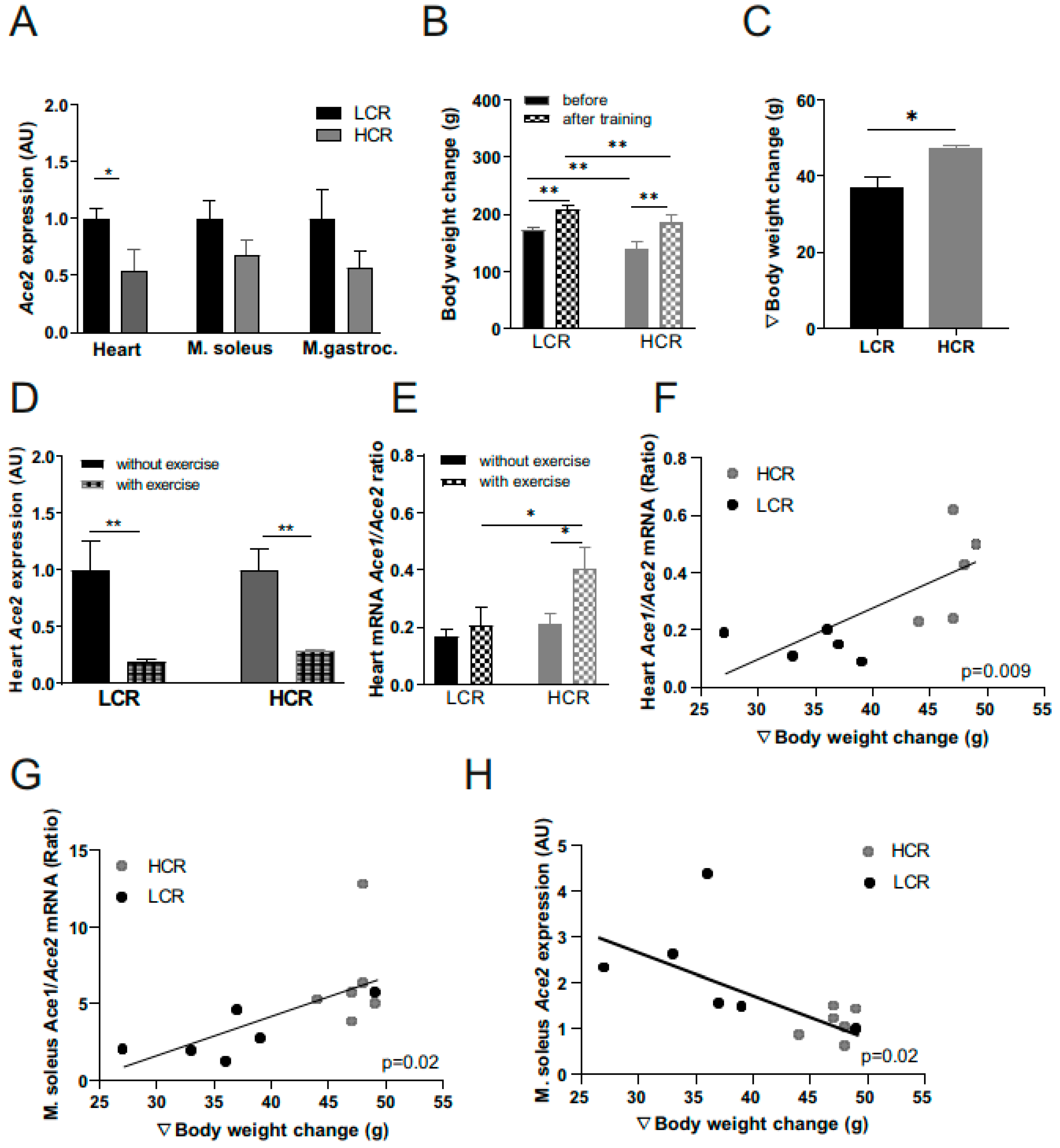 Metabolites 12 00548 g004 Metabolites 12 00548 g004