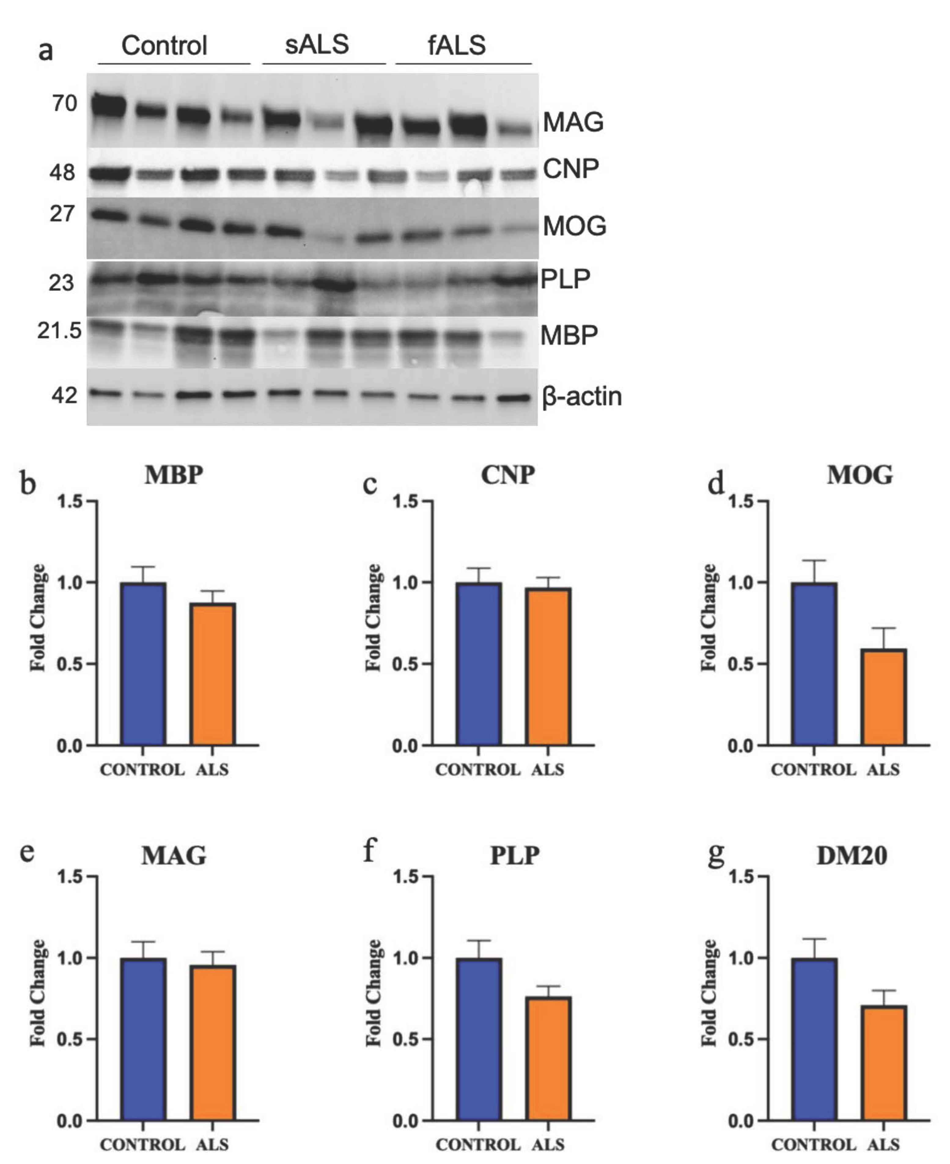 Metabolites 12 00554 g007