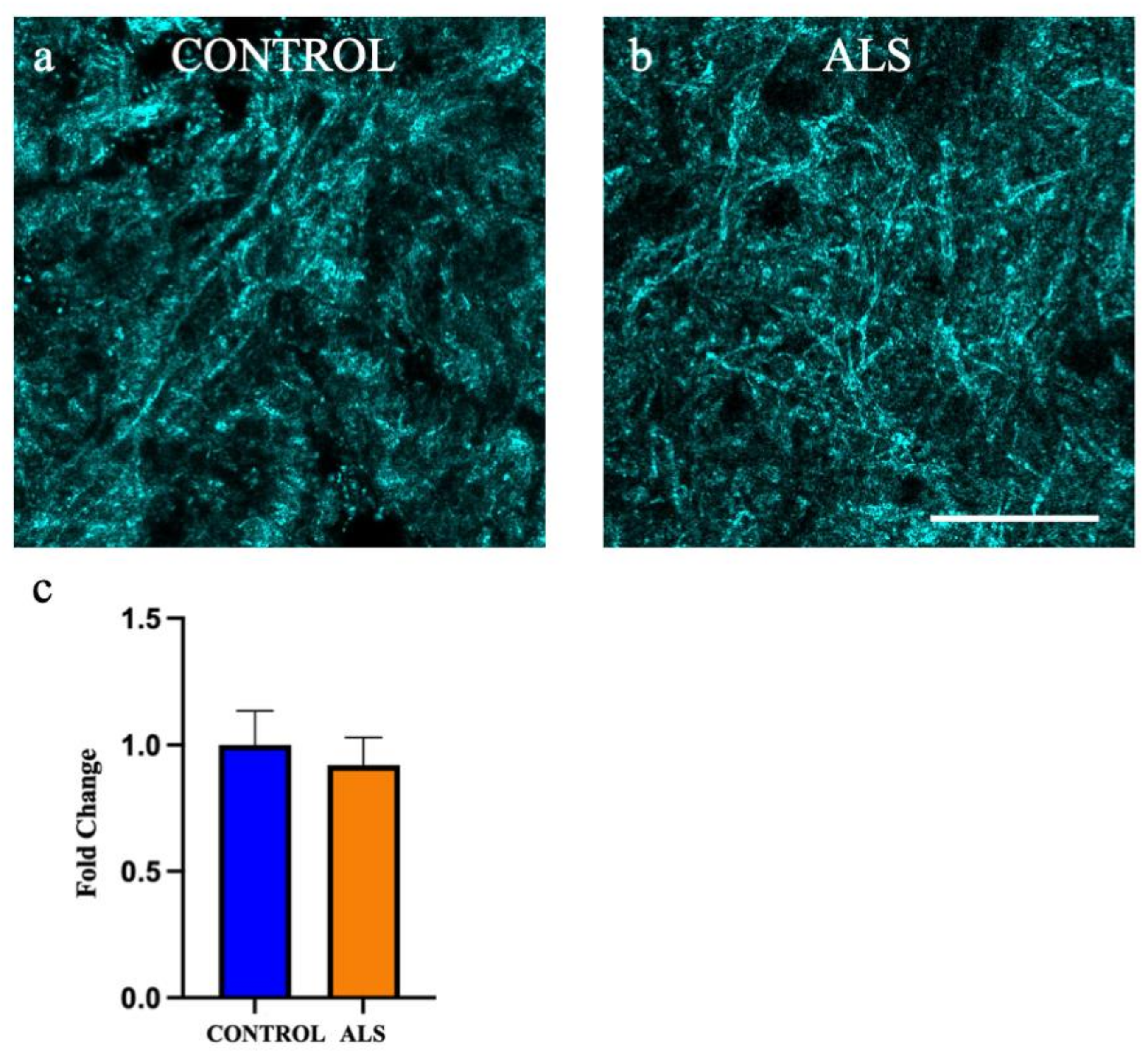 Metabolites 12 00554 g008