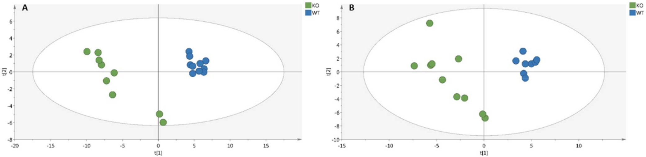 Metabolites 12 00556 g001