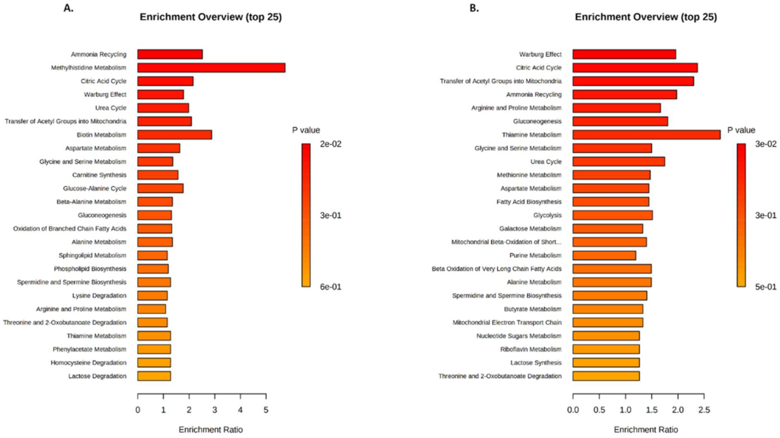 Metabolites 12 00556 g005