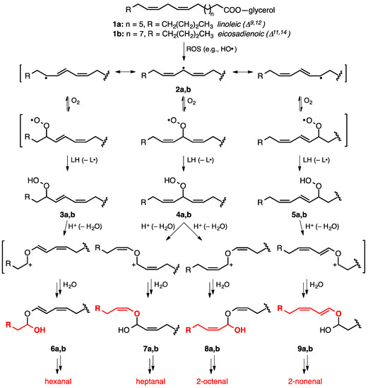 Lipid Peroxidation Produces a Diverse Mixture of Saturated