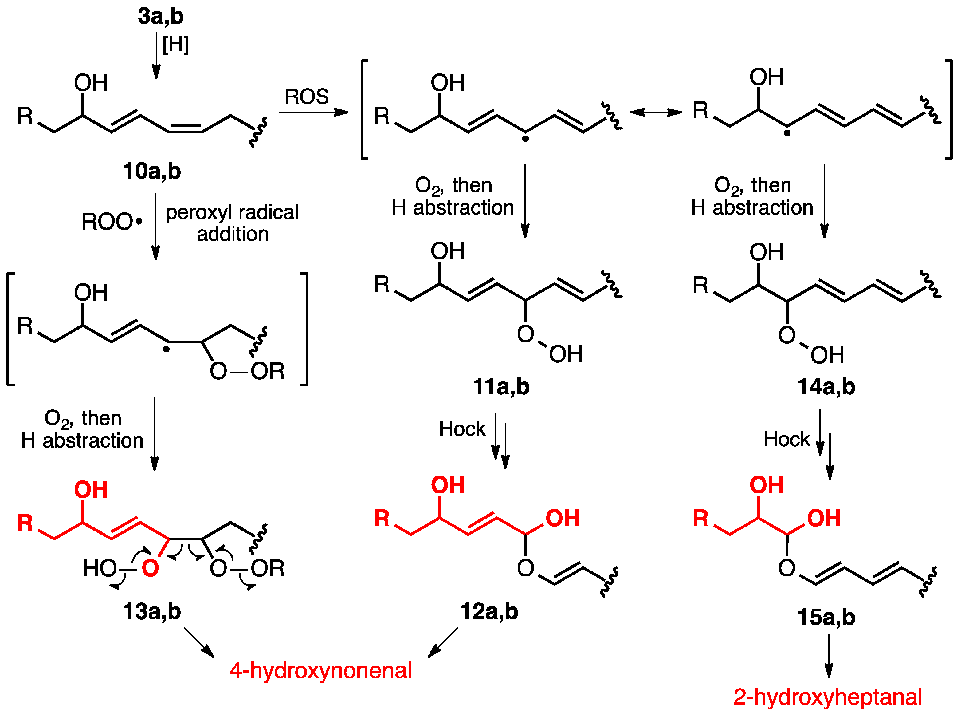 Metabolites 12 00561 g003 Metabolites 12 00561 g003