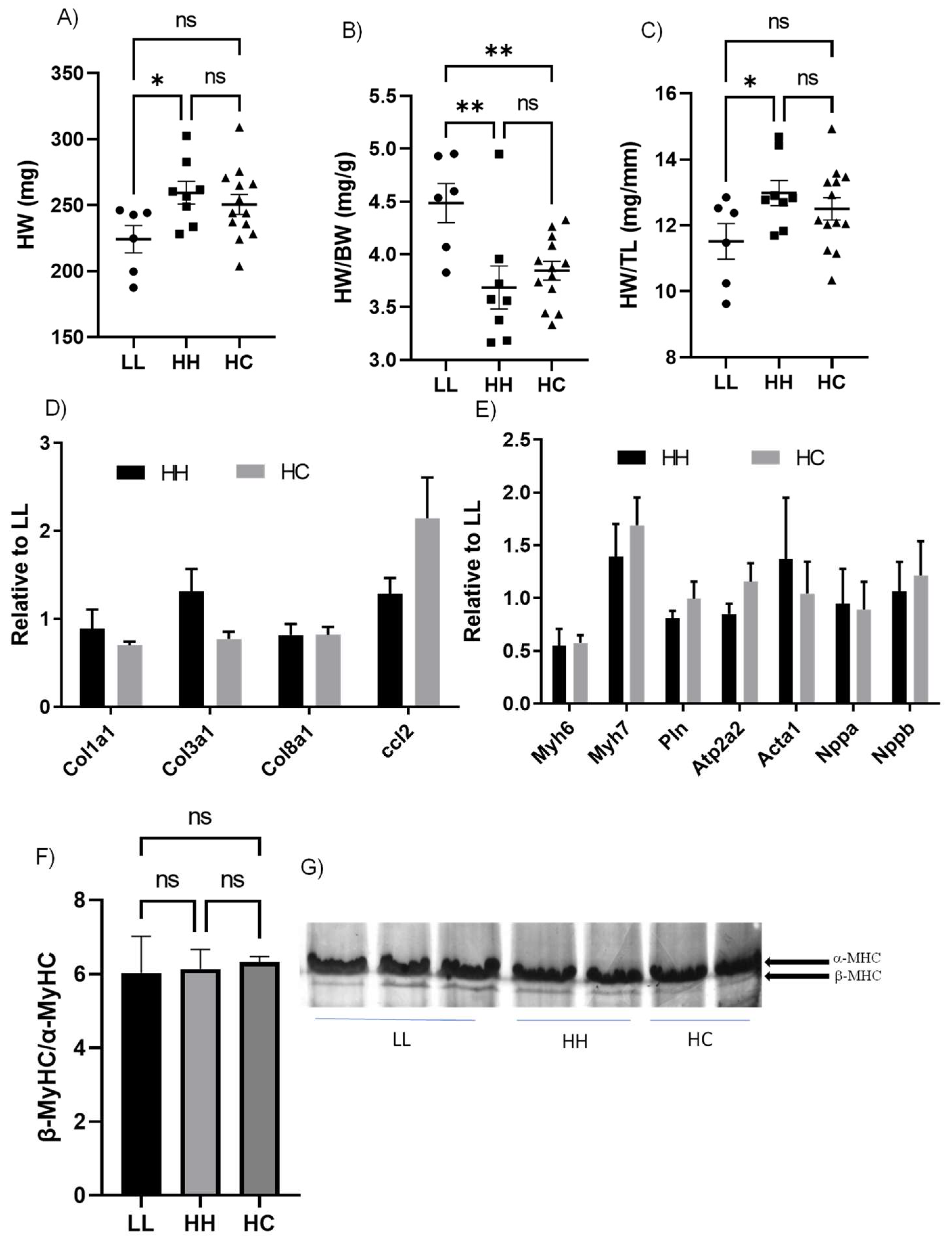 Metabolites 12 00563 g003