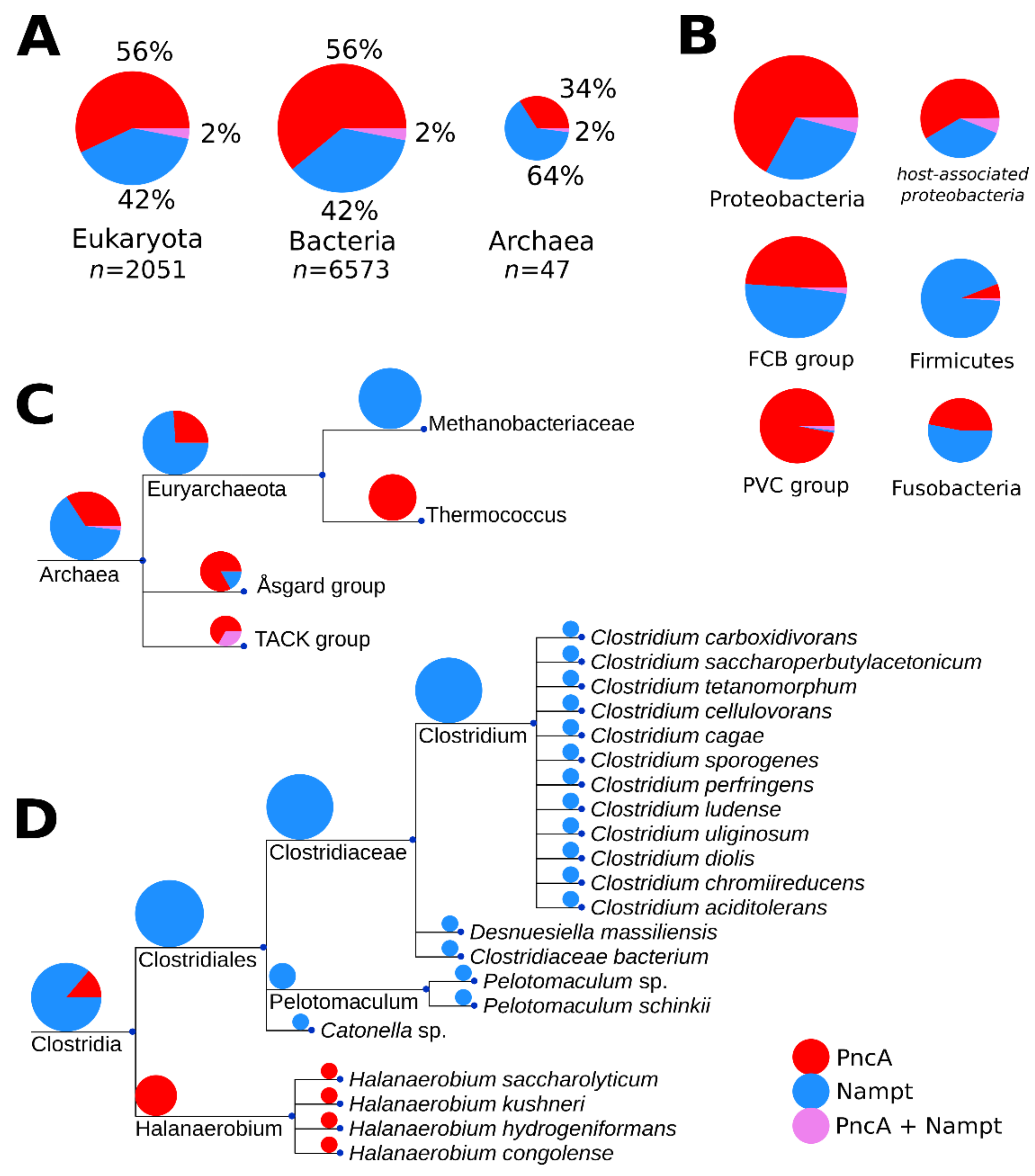 Metabolites 12 00569 g002 Metabolites 12 00569 g002