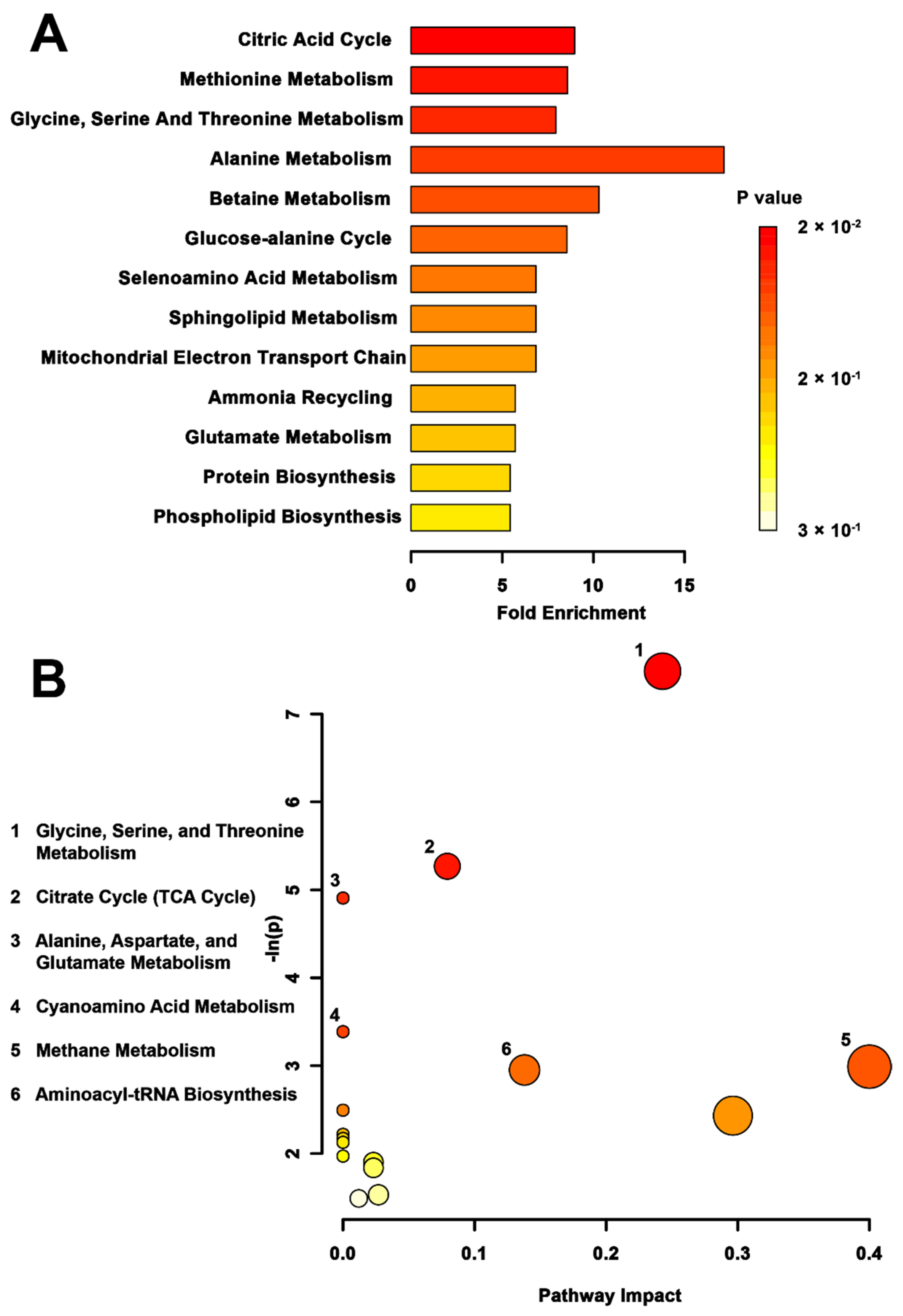 Metabolites 12 00572 g004 Metabolites 12 00572 g004