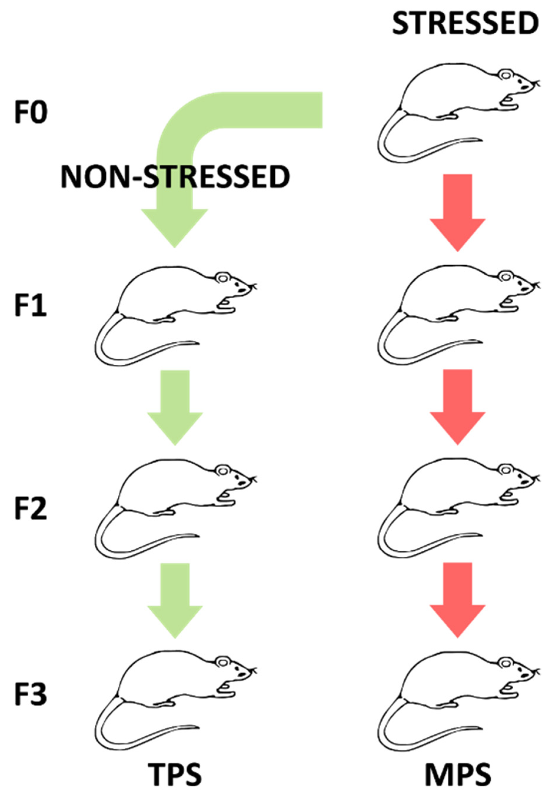 Metabolites 12 00572 g005 Metabolites 12 00572 g005