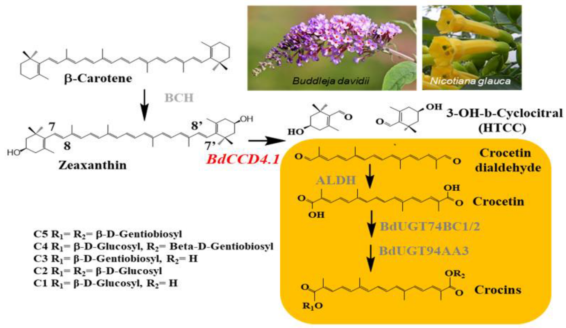 Metabolites 12 00575 g001