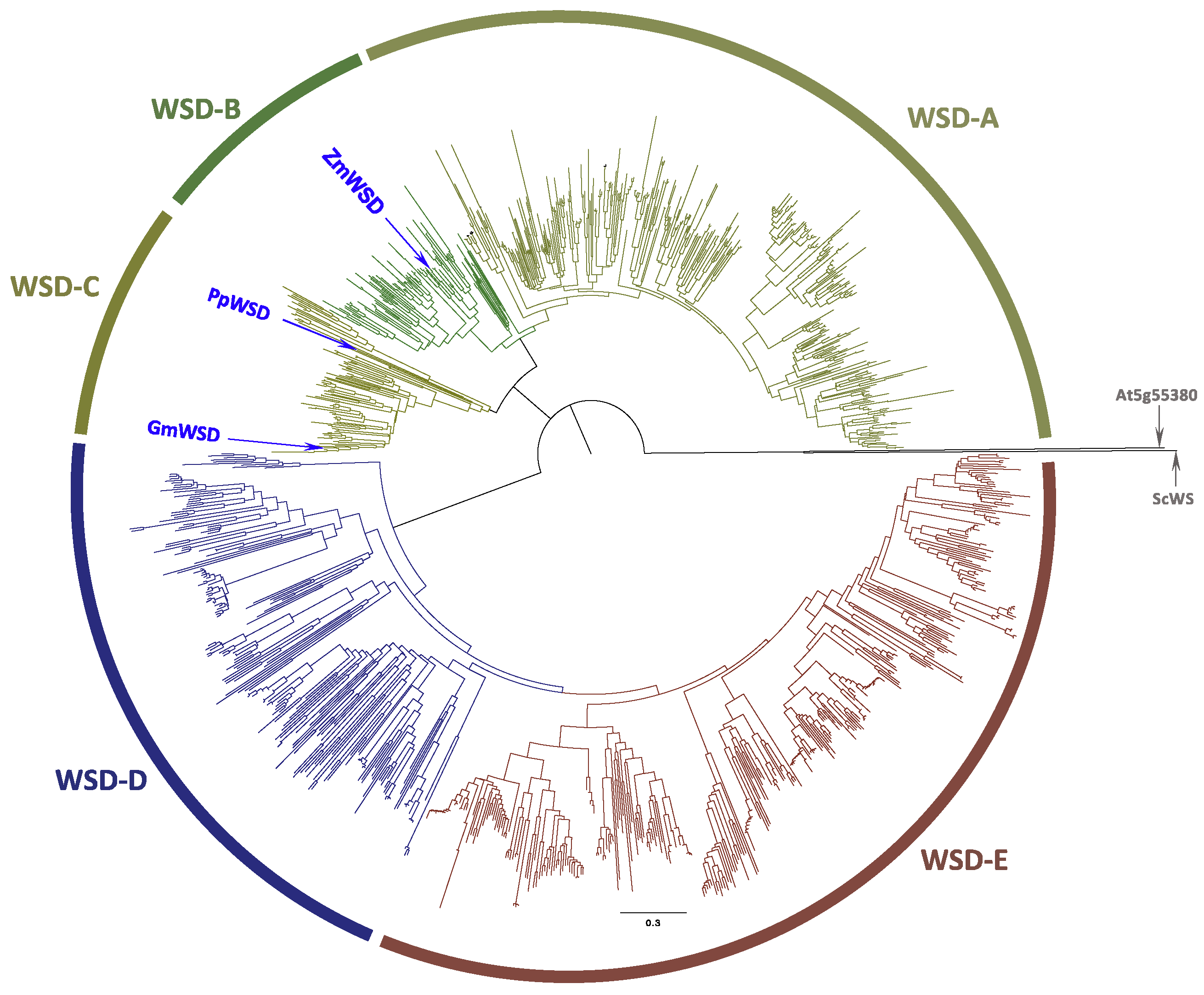 Metabolites 12 00577 g002