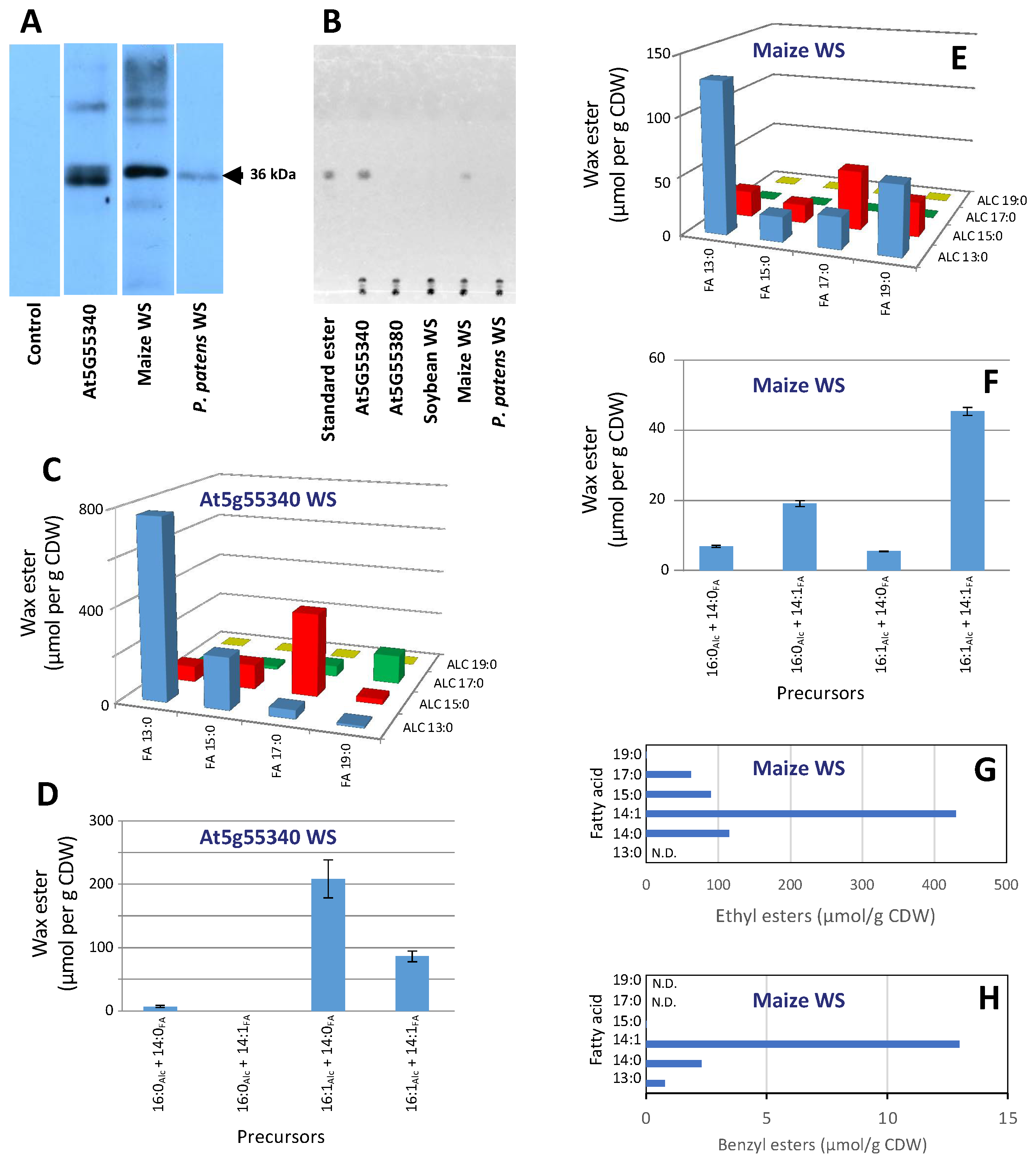 Metabolites 12 00577 g003