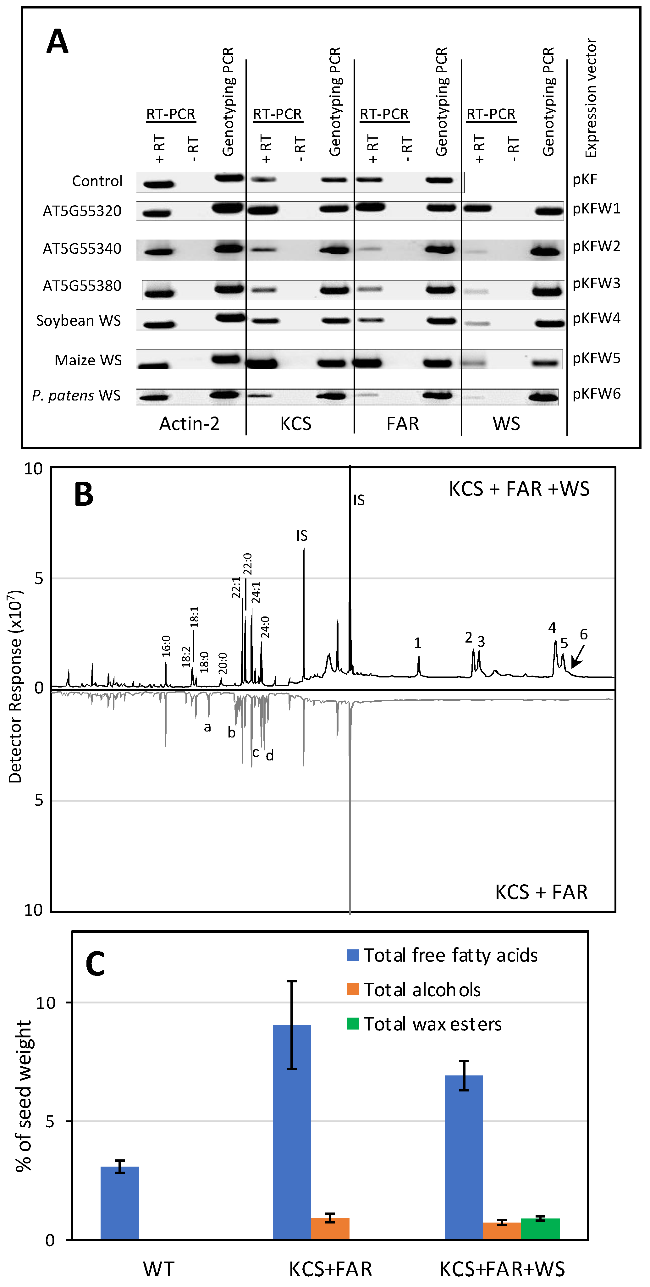 Metabolites 12 00577 g004
