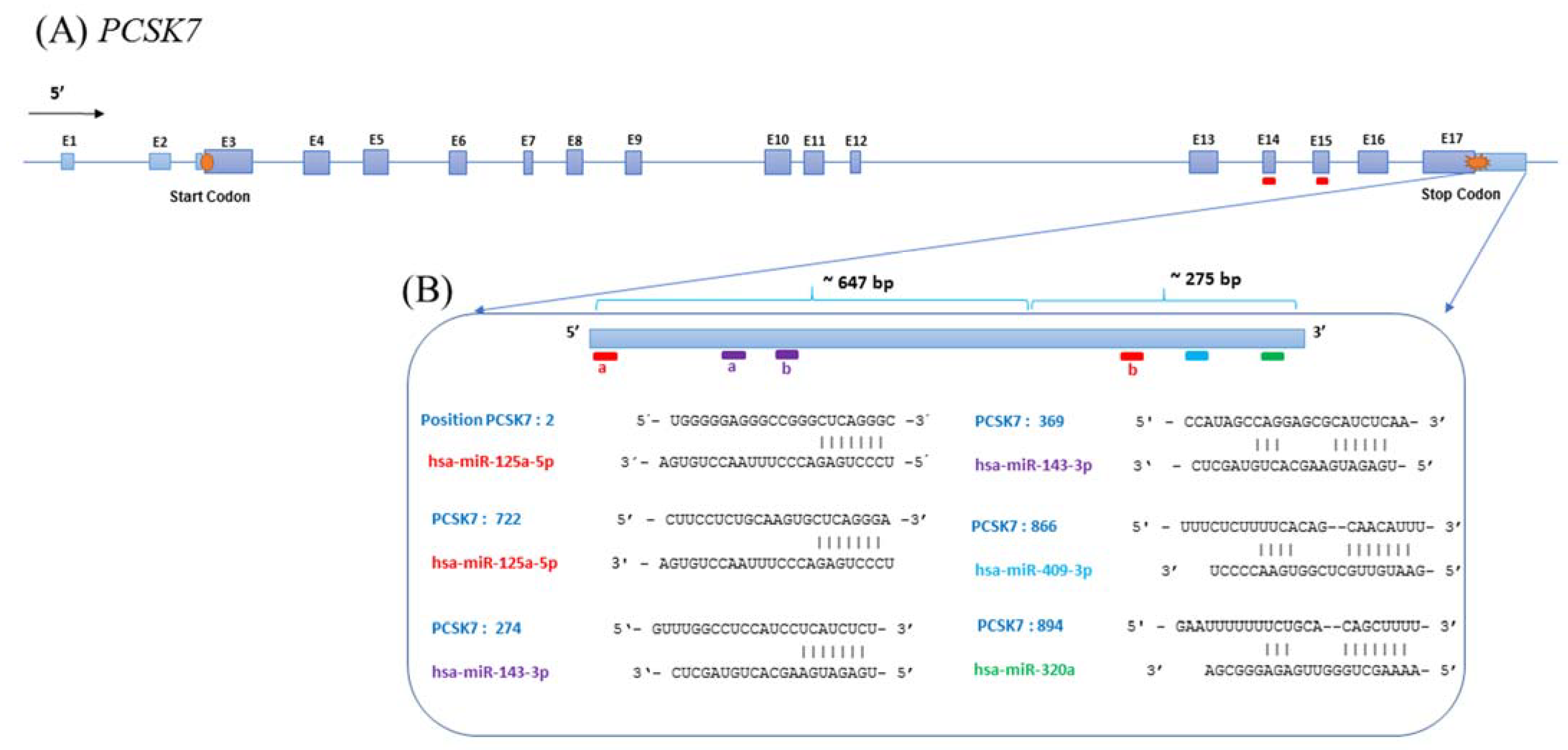 Metabolites 12 00588 g001 550