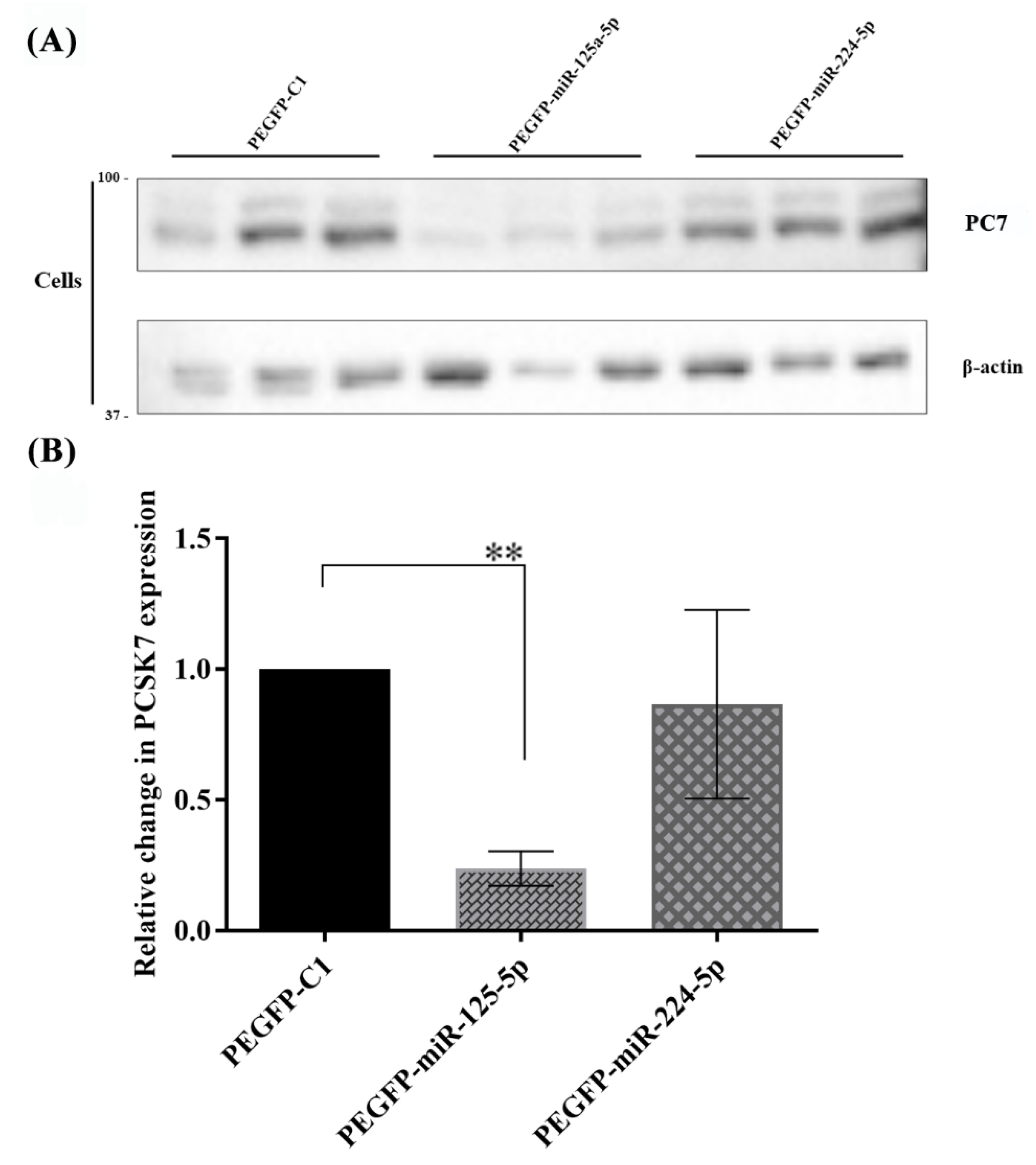 Metabolites 12 00588 g006 550