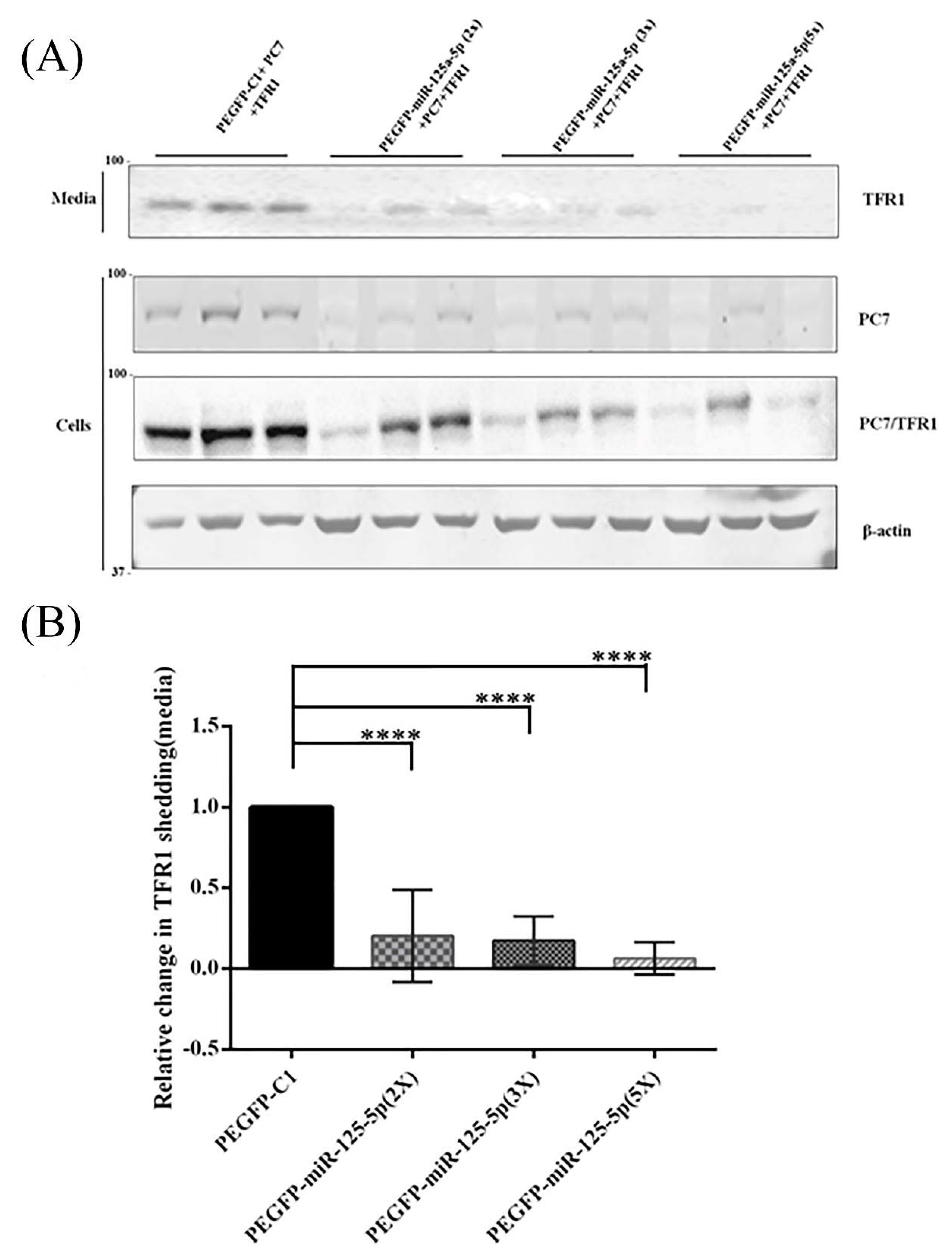 Metabolites 12 00588 g007 550