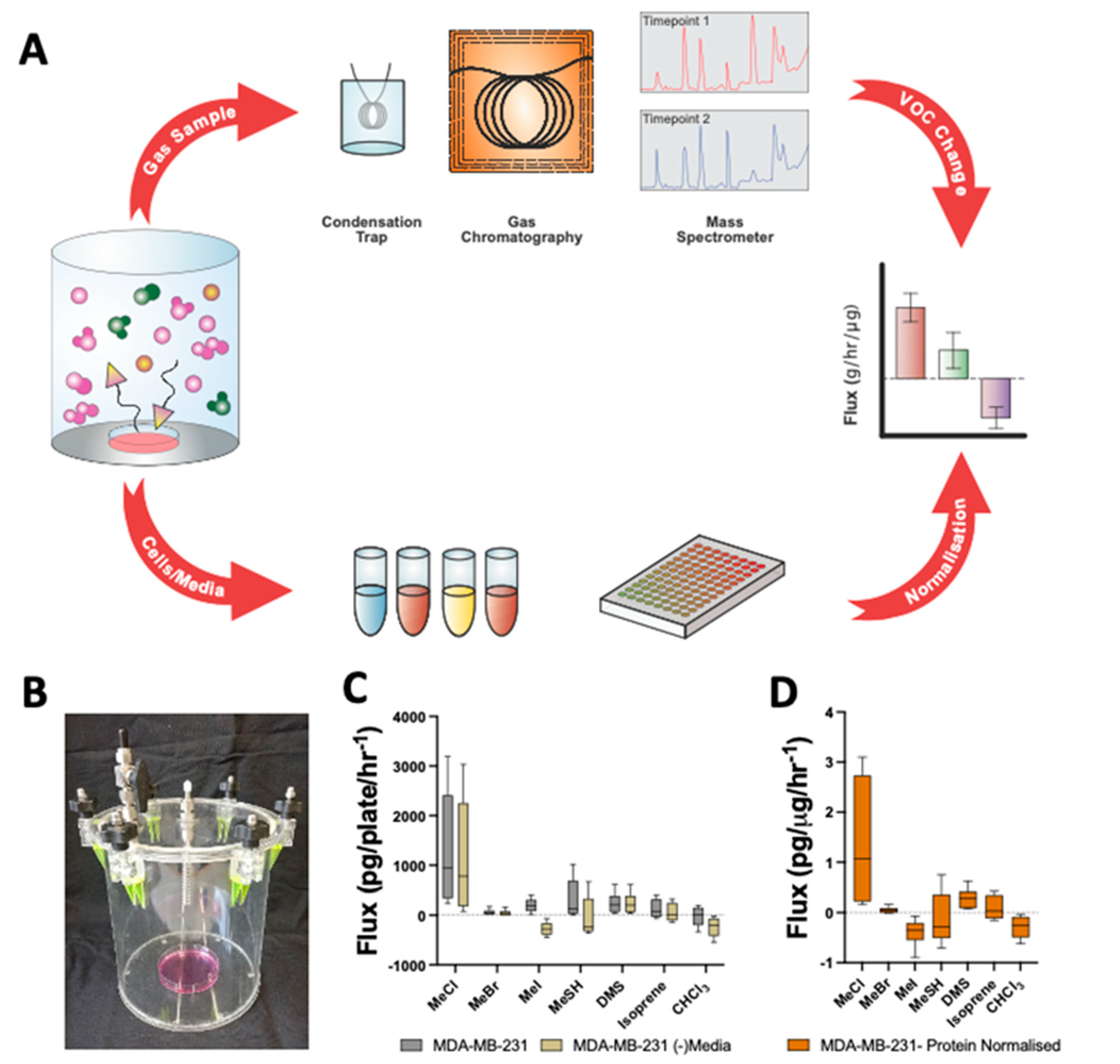 Metabolites 12 00599 g001 550