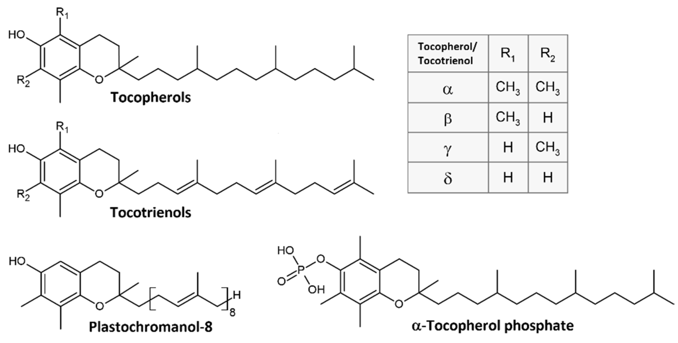 Metabolites 12 00608 g001