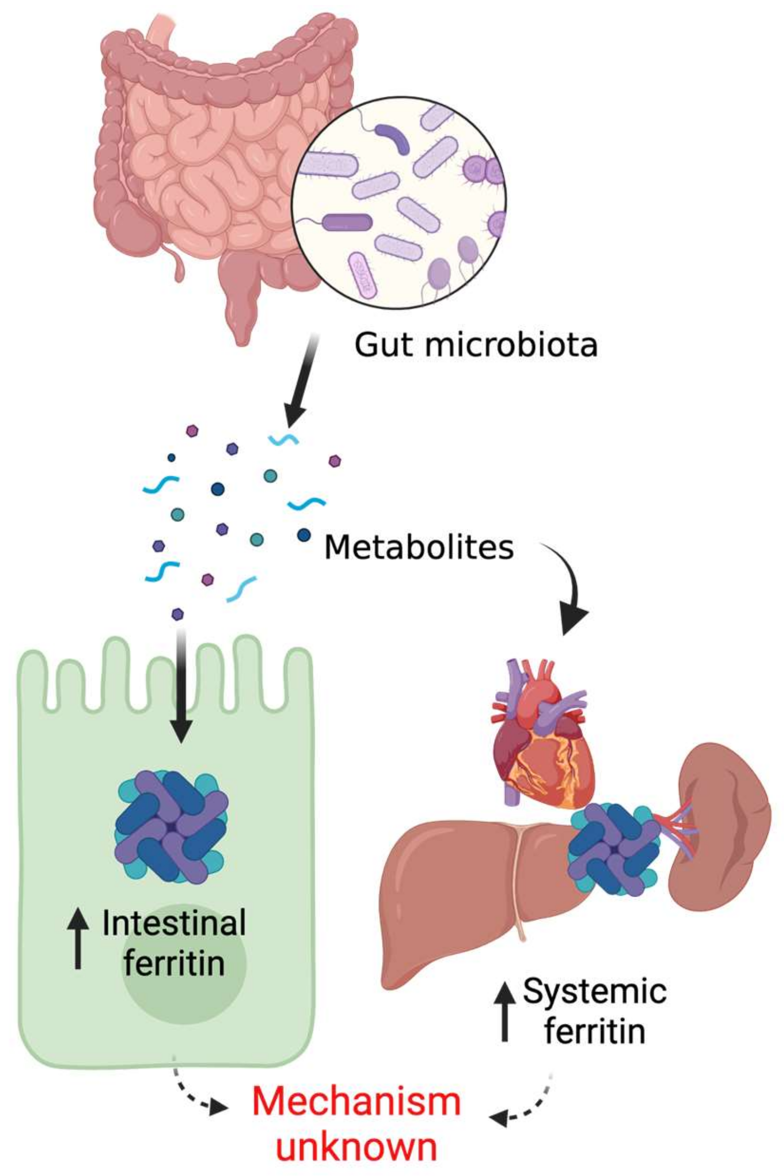 Metabolites 12 00609 g002 550