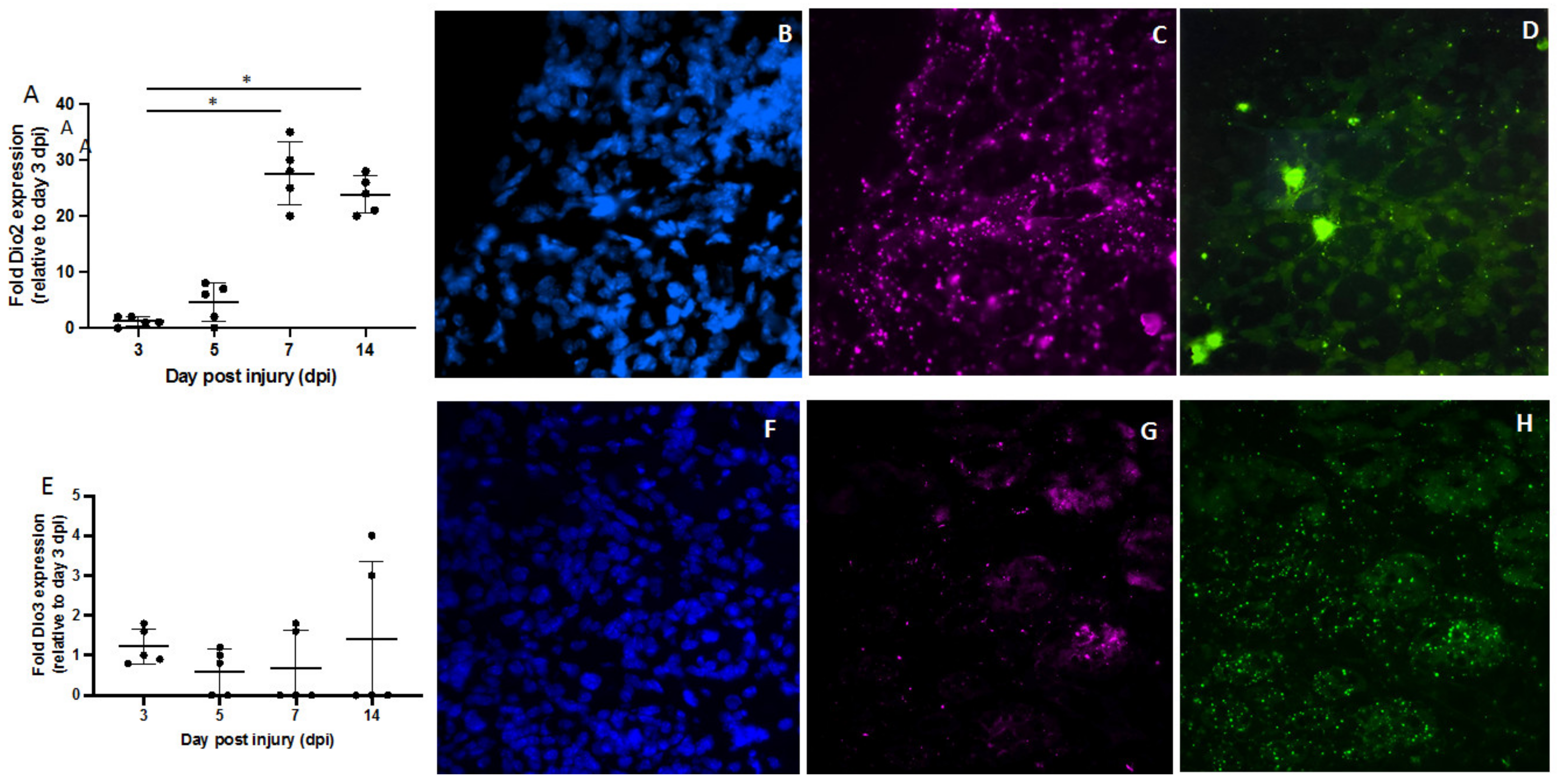 Metabolites 12 00612 g004