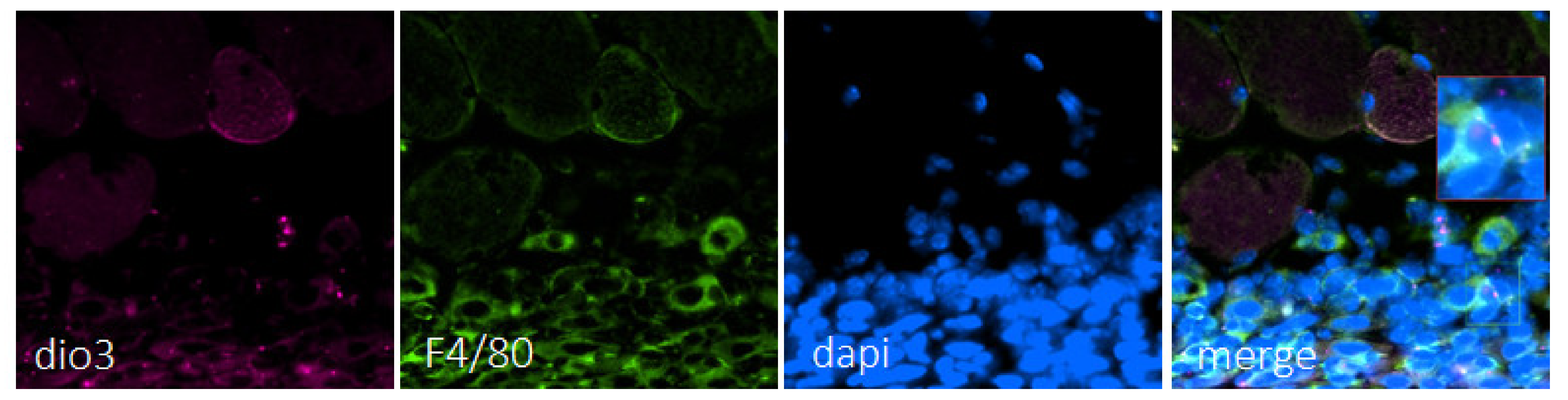 Metabolites 12 00612 g006