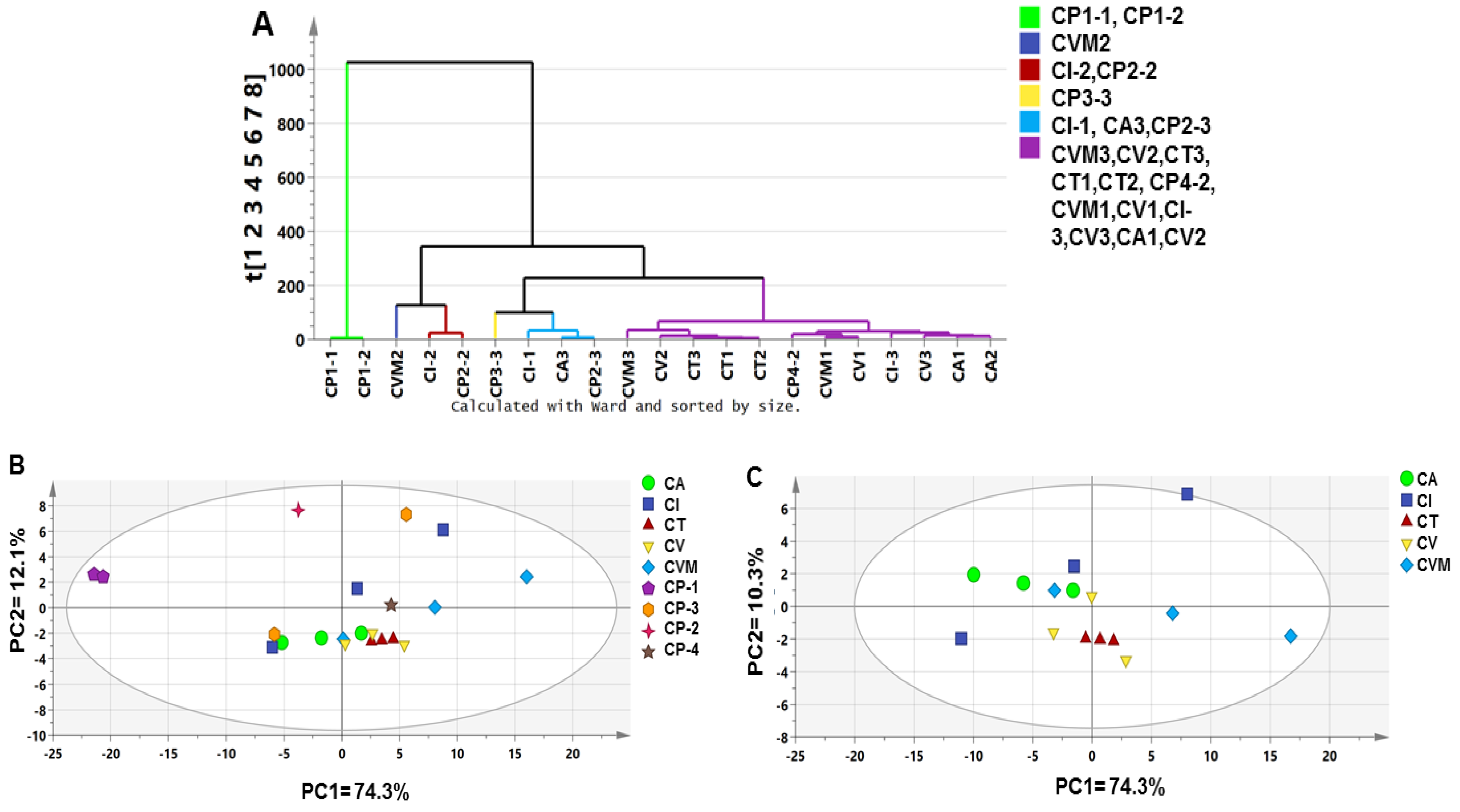 Metabolites 12 00614 g006