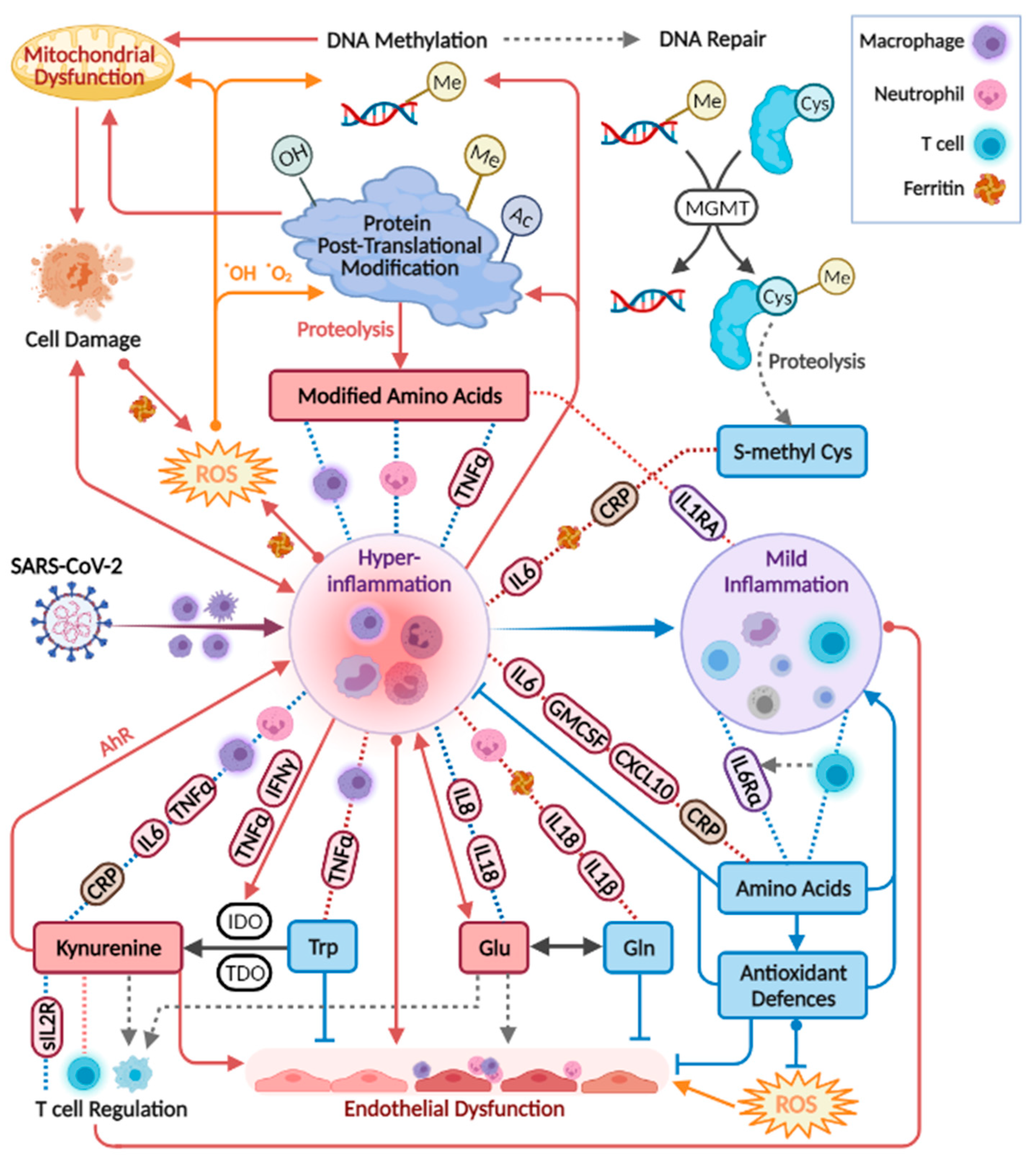 Metabolites 12 00618 g007