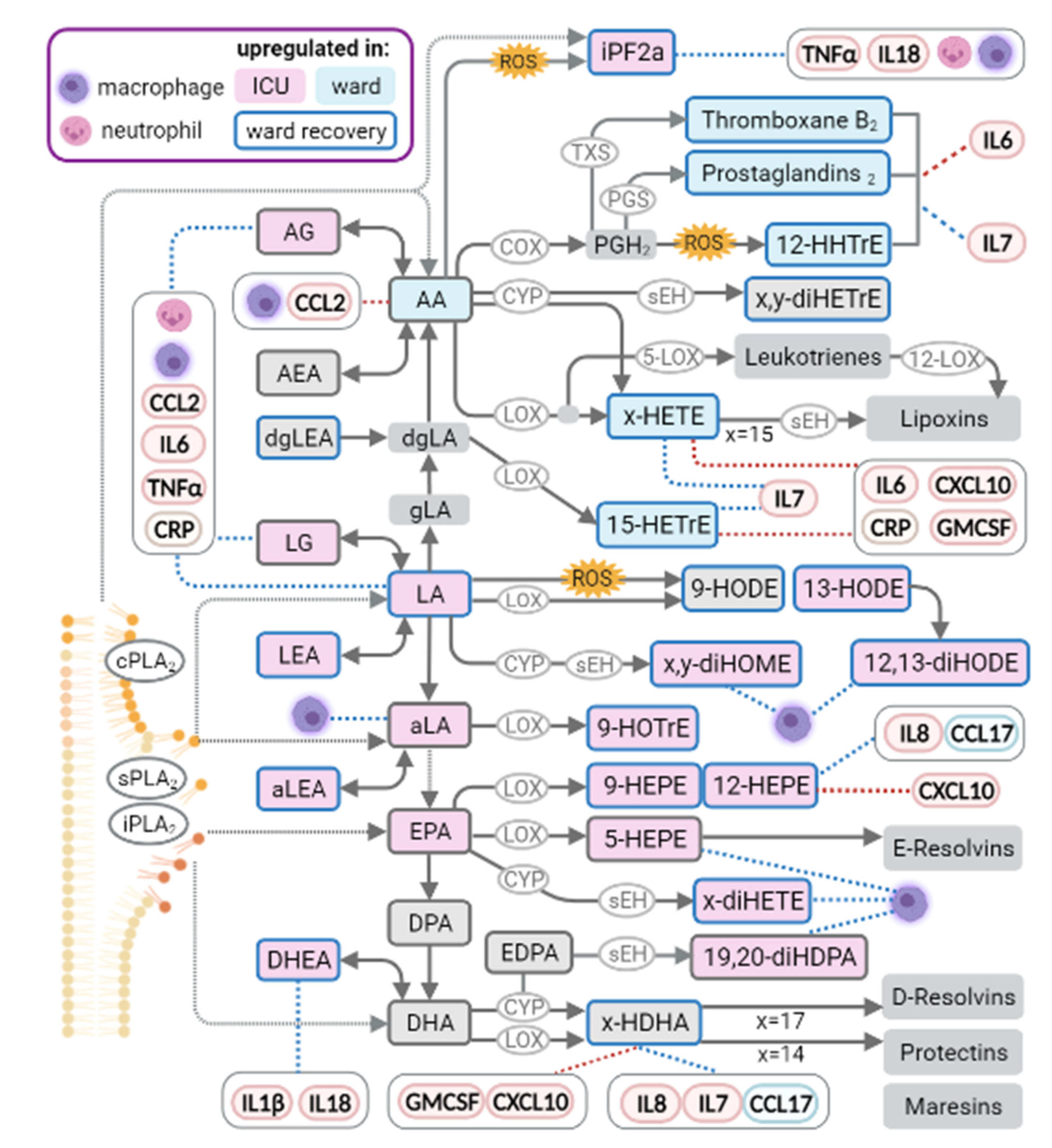 Metabolites 12 00619 g005