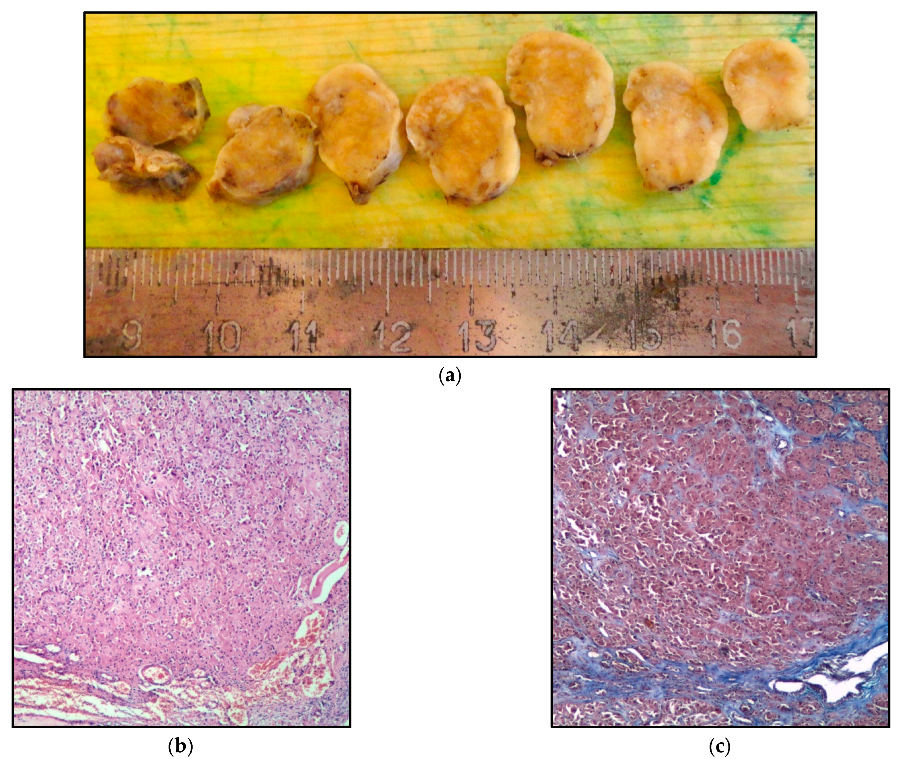 Metabolites 12 00620 g002a
