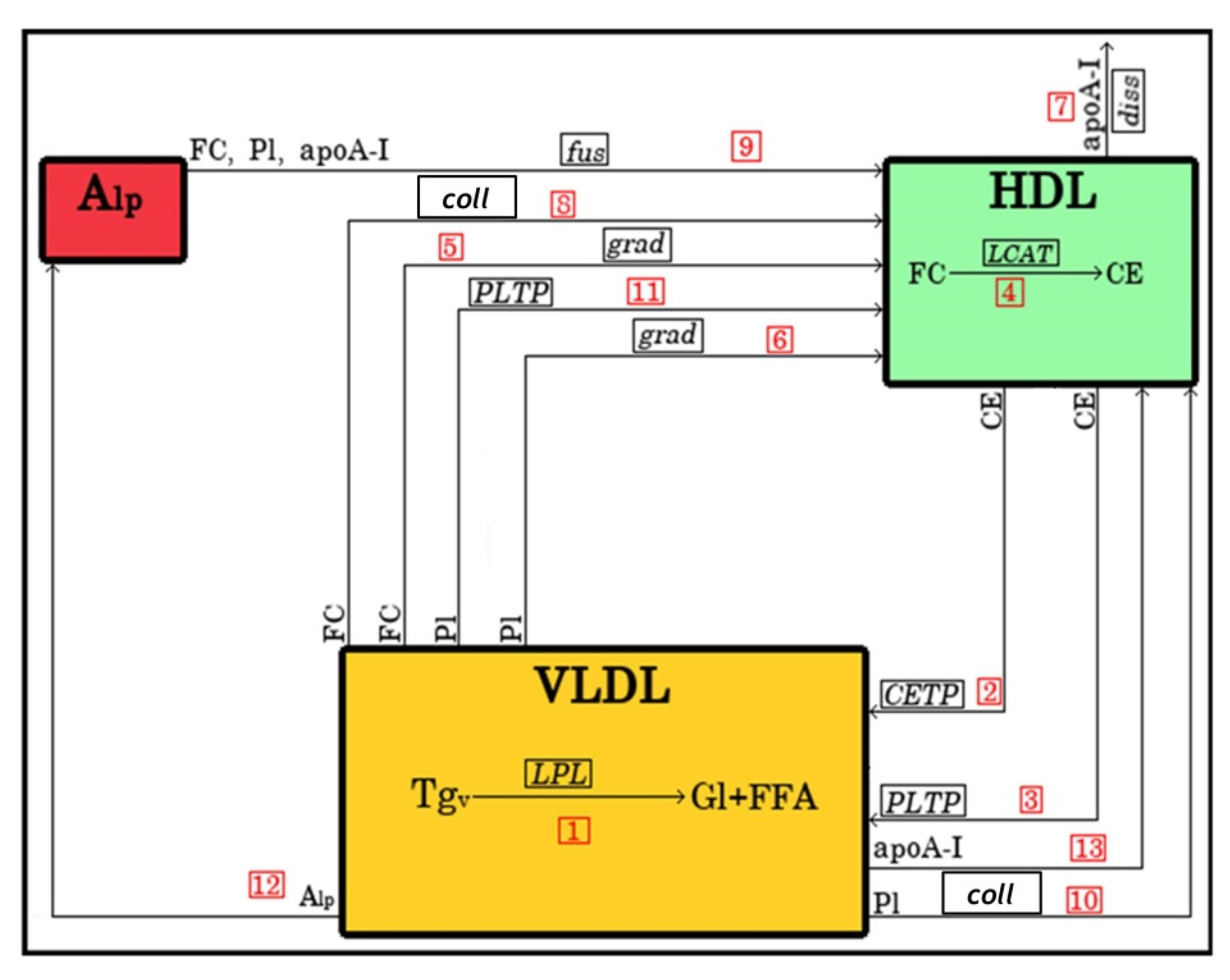 Metabolites 12 00623 g009