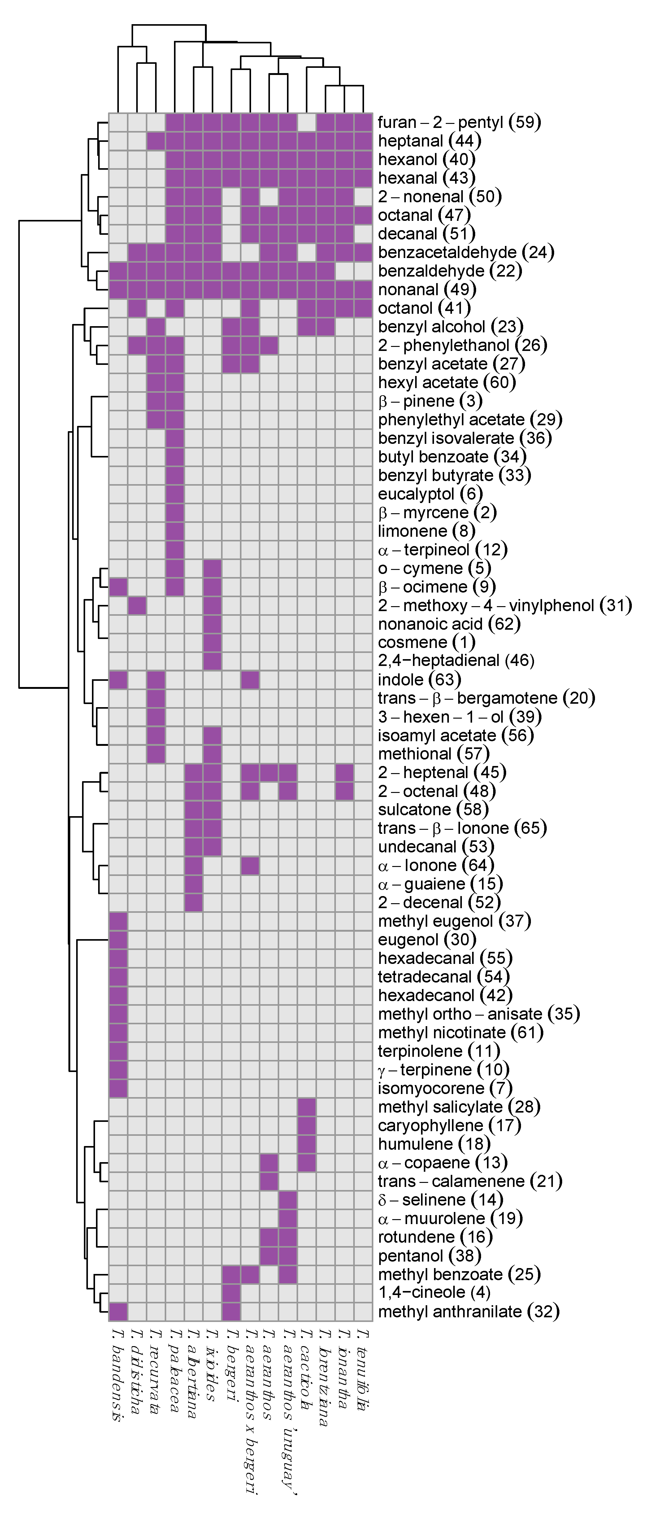 Metabolites 12 00628 g001