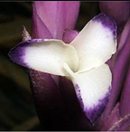 Metabolites 12 00628 i010