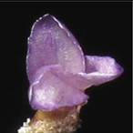 Metabolites 12 00628 i014