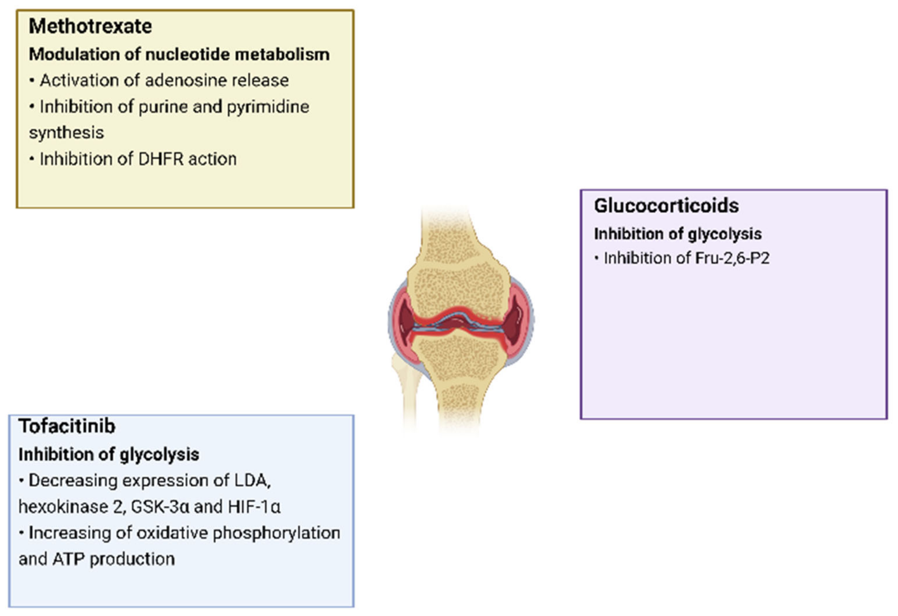 Metabolites 12 00634 g003