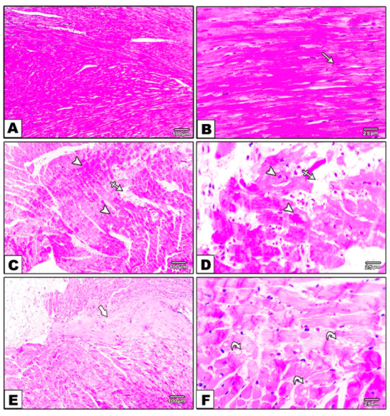 Metabolites 12 00635 g003a 550